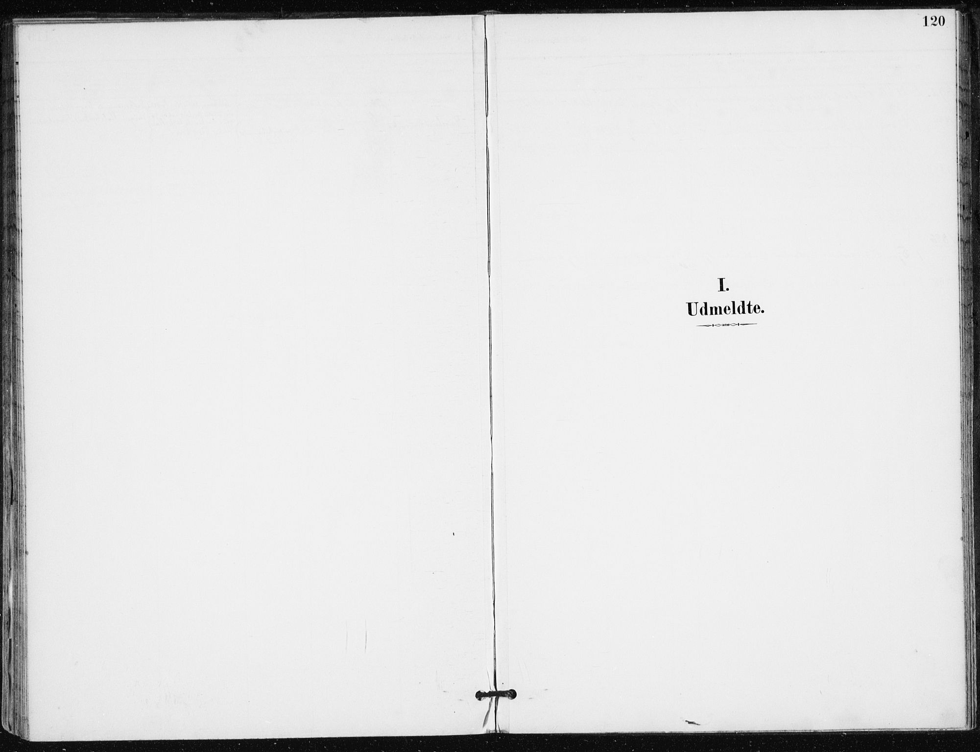 Modum kirkebøker, SAKO/A-234/F/Fa/L0016: Parish register (official) no. 16, 1890-1899, p. 120