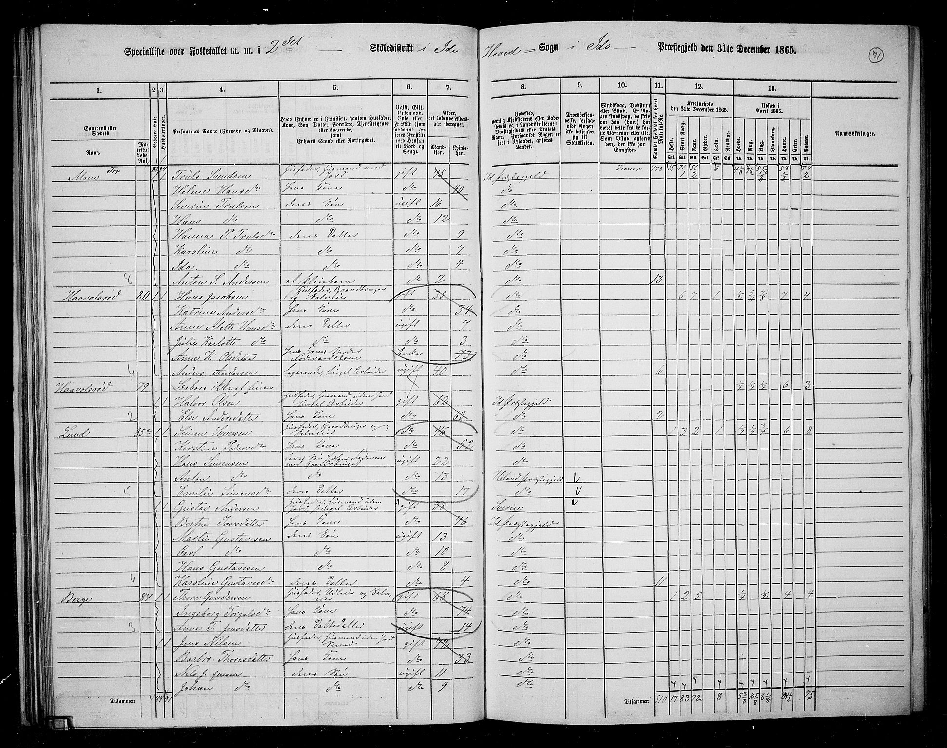 RA, 1865 census for Idd, 1865, p. 63