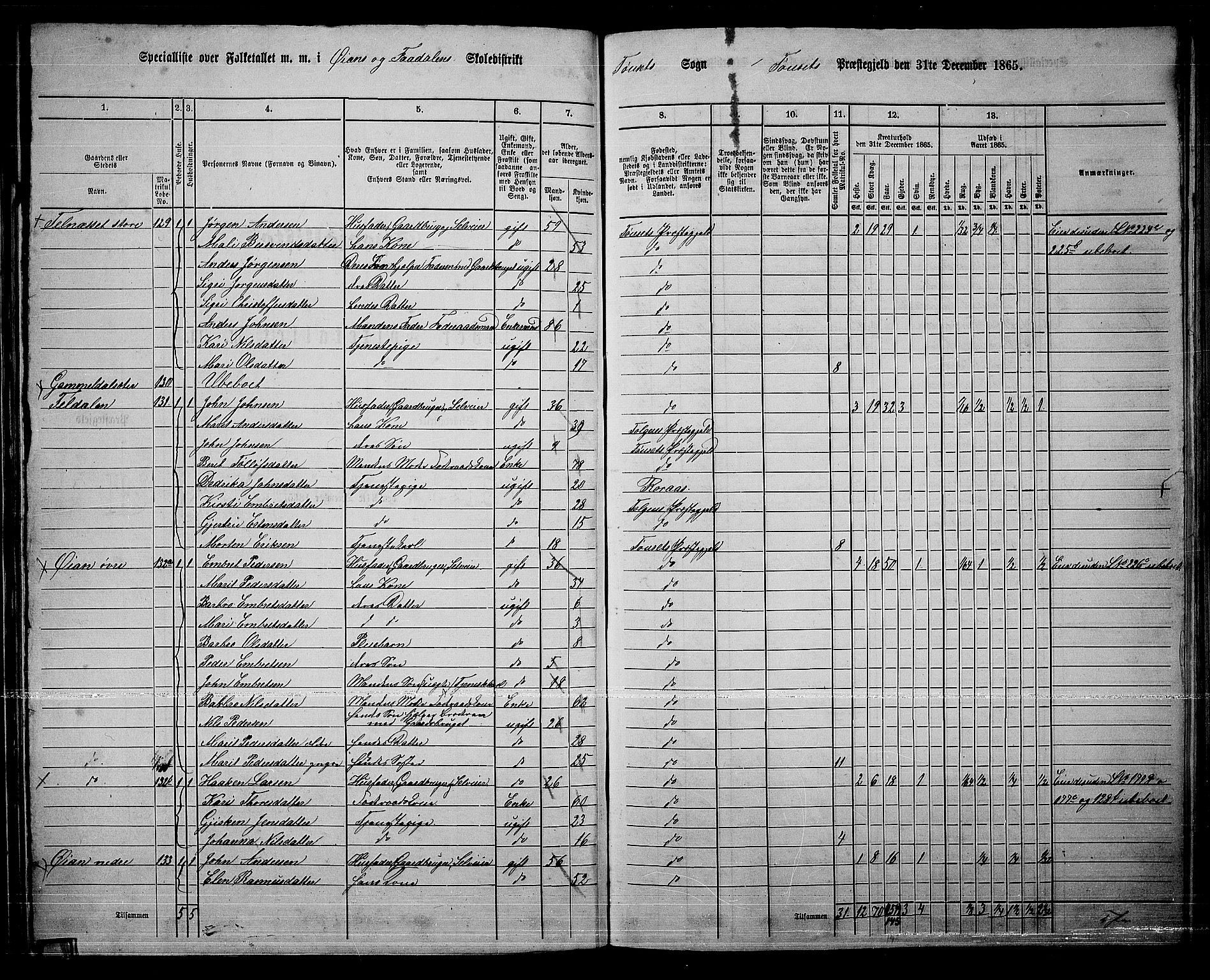 RA, 1865 census for Tynset, 1865, p. 73