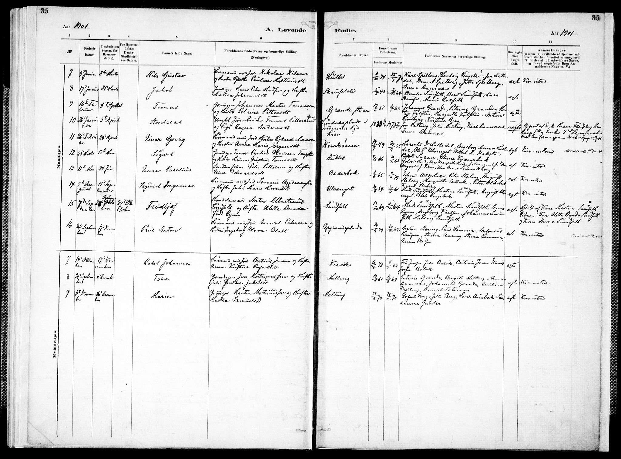 Ministerialprotokoller, klokkerbøker og fødselsregistre - Nord-Trøndelag, AV/SAT-A-1458/733/L0325: Parish register (official) no. 733A04, 1884-1908, p. 35