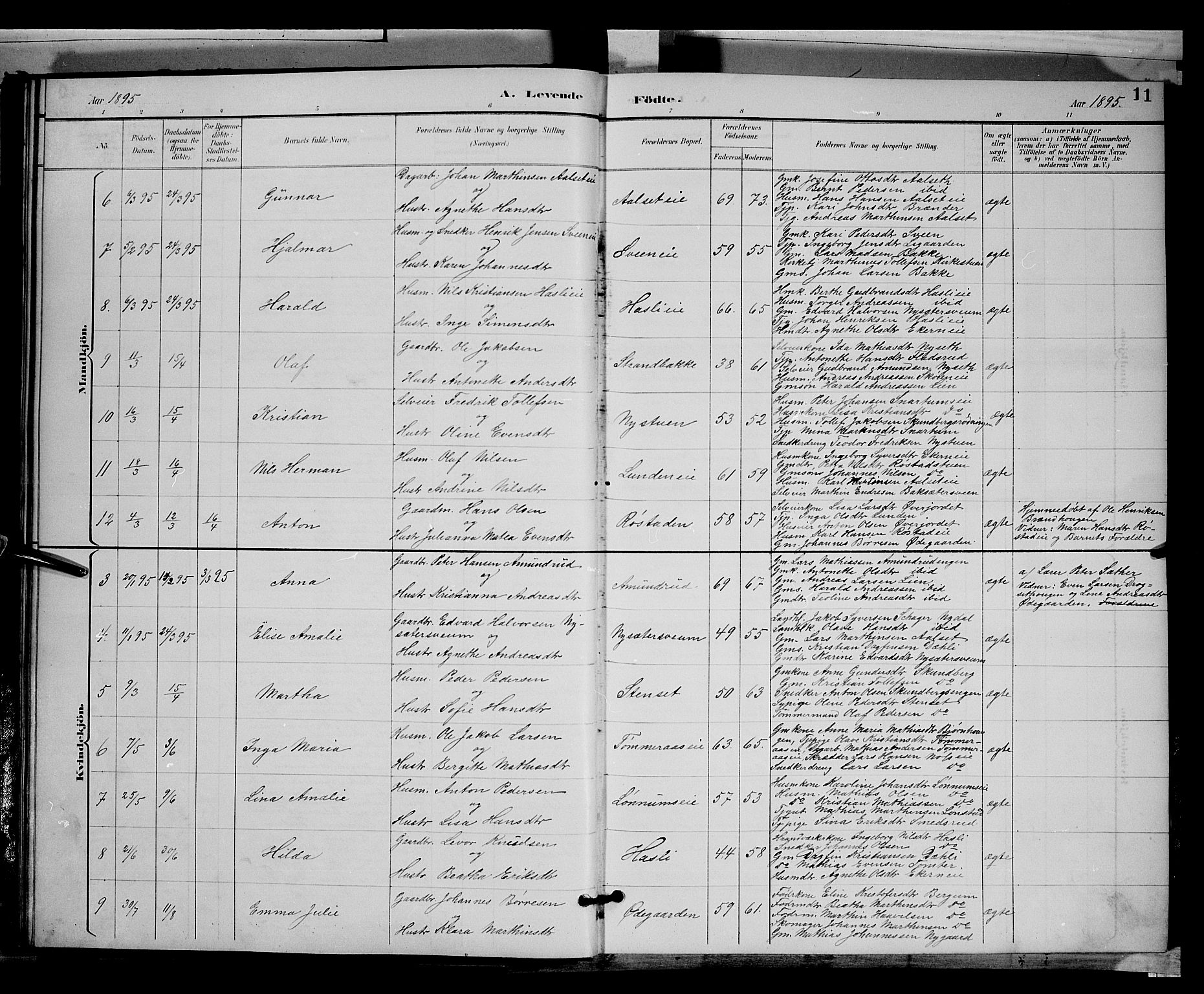 Biri prestekontor, SAH/PREST-096/H/Ha/Hab/L0003: Parish register (copy) no. 3, 1892-1905, p. 11