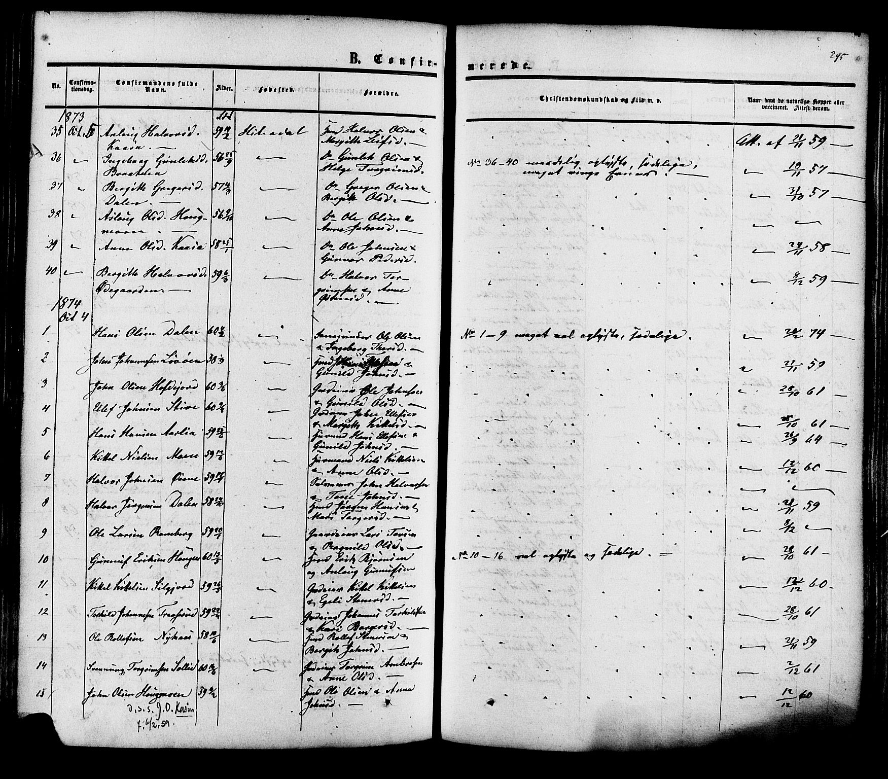 Heddal kirkebøker, SAKO/A-268/F/Fa/L0007: Parish register (official) no. I 7, 1855-1877, p. 295