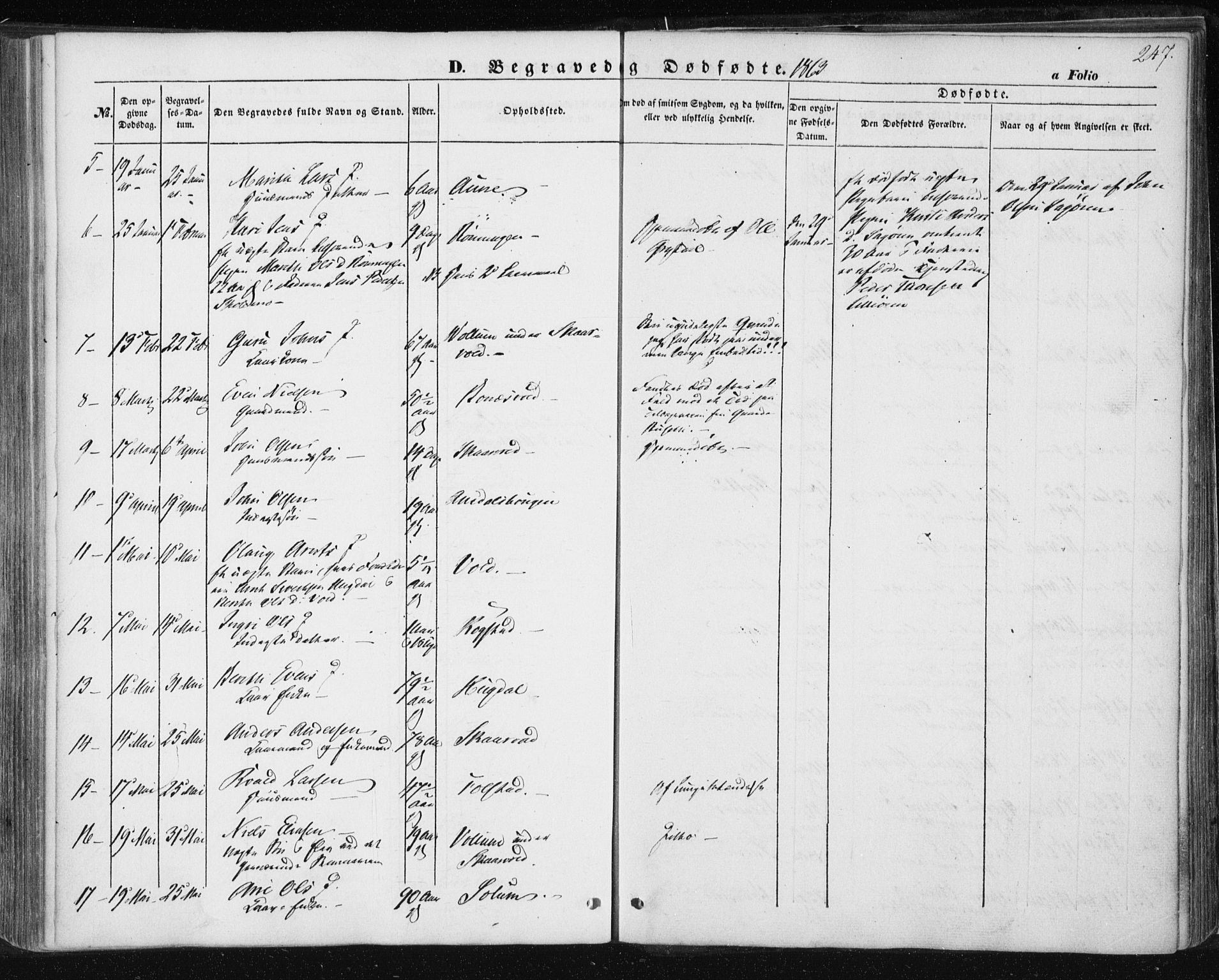 Ministerialprotokoller, klokkerbøker og fødselsregistre - Sør-Trøndelag, AV/SAT-A-1456/687/L1000: Parish register (official) no. 687A06, 1848-1869, p. 247