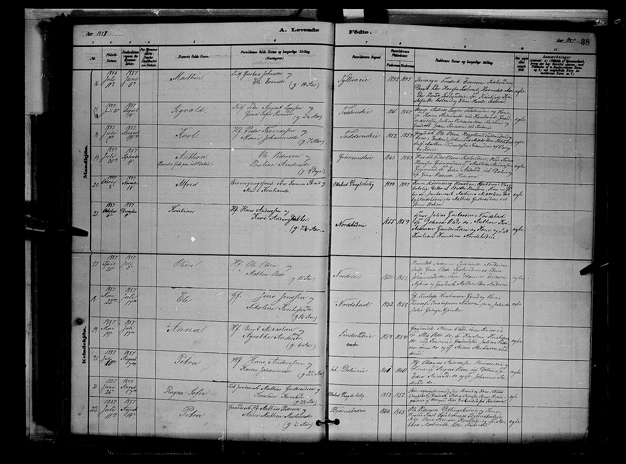 Stange prestekontor, AV/SAH-PREST-002/L/L0007: Parish register (copy) no. 7, 1880-1893, p. 38