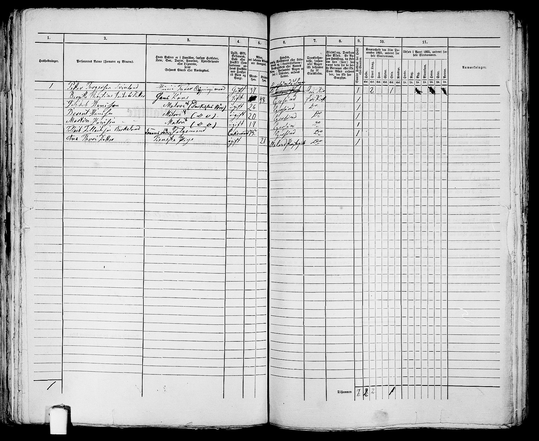 RA, 1865 census for Eigersund parish, Egersund town, 1865, p. 253