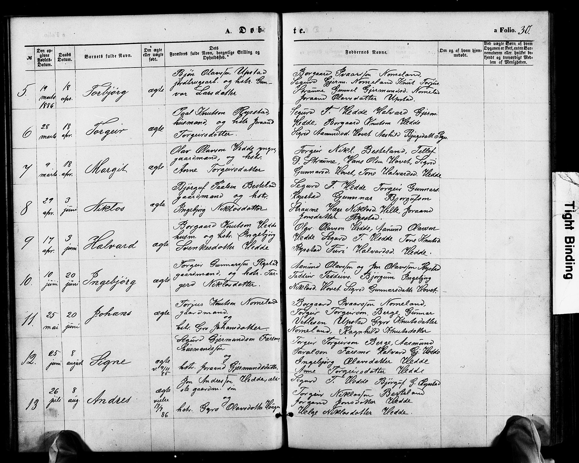 Valle sokneprestkontor, AV/SAK-1111-0044/F/Fb/Fbb/L0002: Parish register (copy) no. B 2, 1875-1921, p. 30