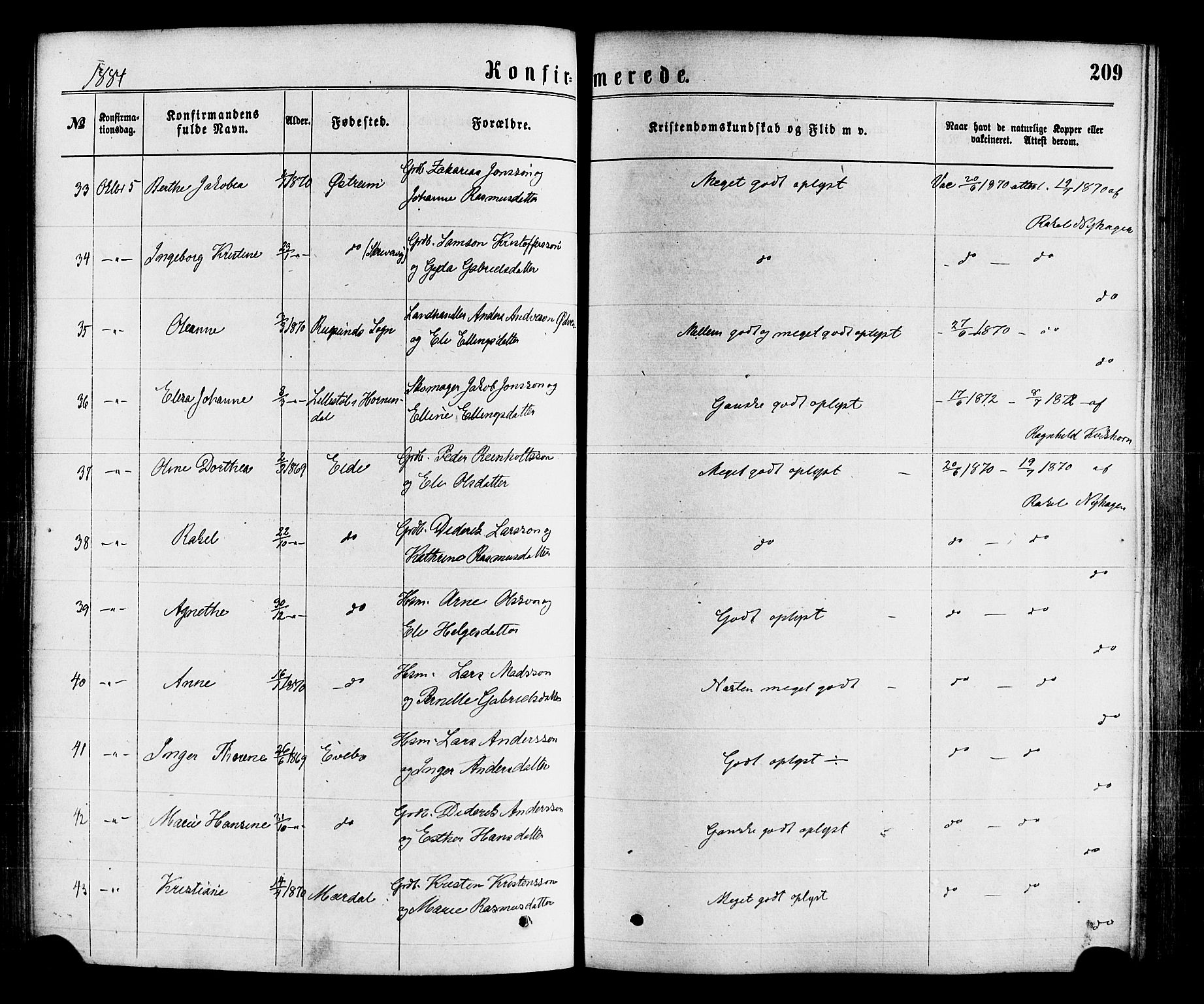 Gloppen sokneprestembete, AV/SAB-A-80101/H/Haa/Haaa/L0010: Parish register (official) no. A 10, 1871-1884, p. 209