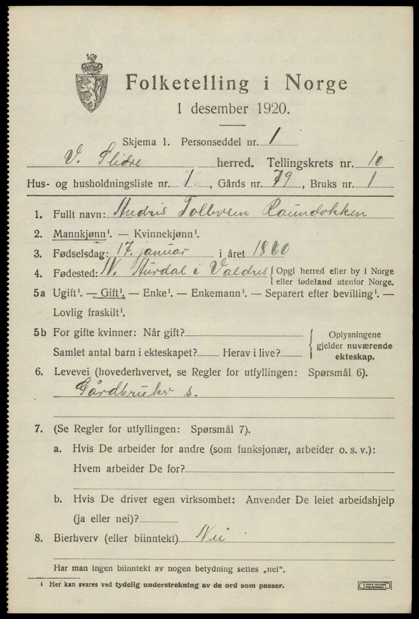 SAH, 1920 census for Vestre Slidre, 1920, p. 5690