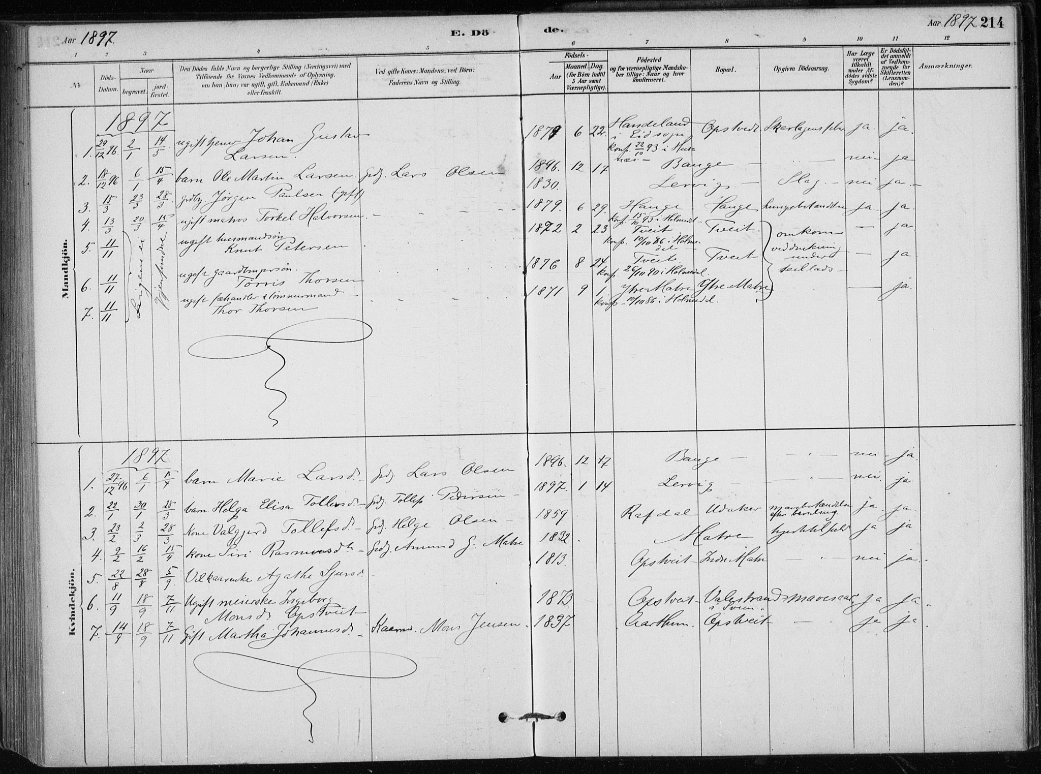 Skånevik sokneprestembete, SAB/A-77801/H/Haa: Parish register (official) no. C  1, 1879-1917, p. 214