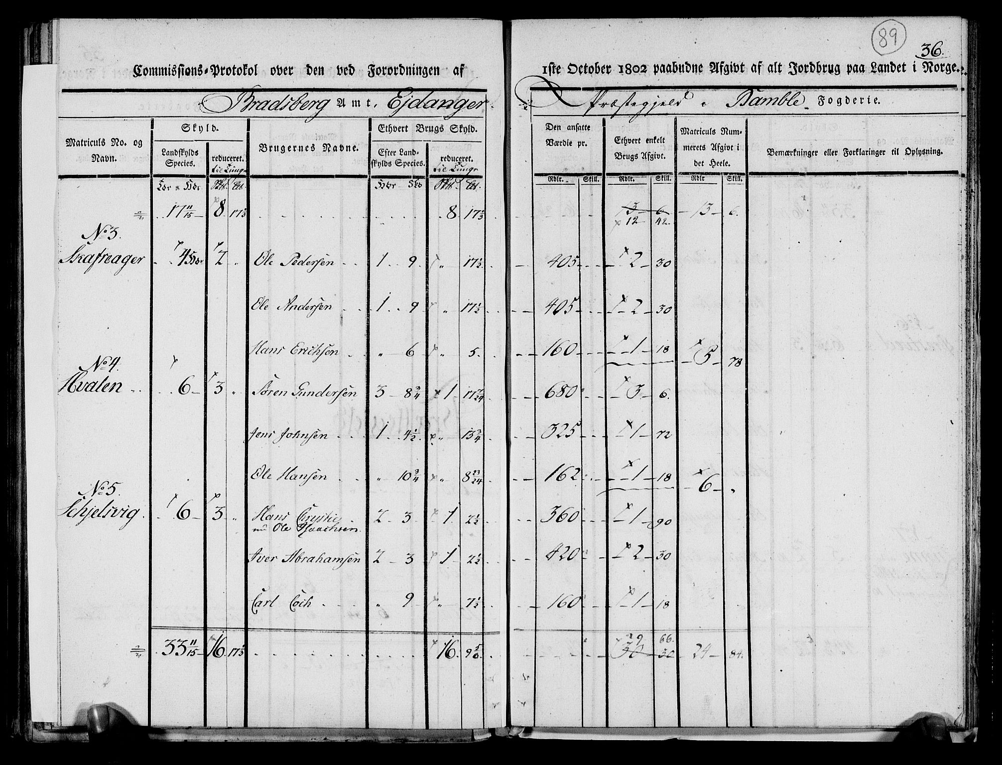 Rentekammeret inntil 1814, Realistisk ordnet avdeling, AV/RA-EA-4070/N/Ne/Nea/L0068: og 0069: Nedre Telemarken og Bamble fogderi. Kommisjonsprotokoll for Drangedal, Sannidal, Bamble og Eidanger prestegjeld., 1803, p. 95