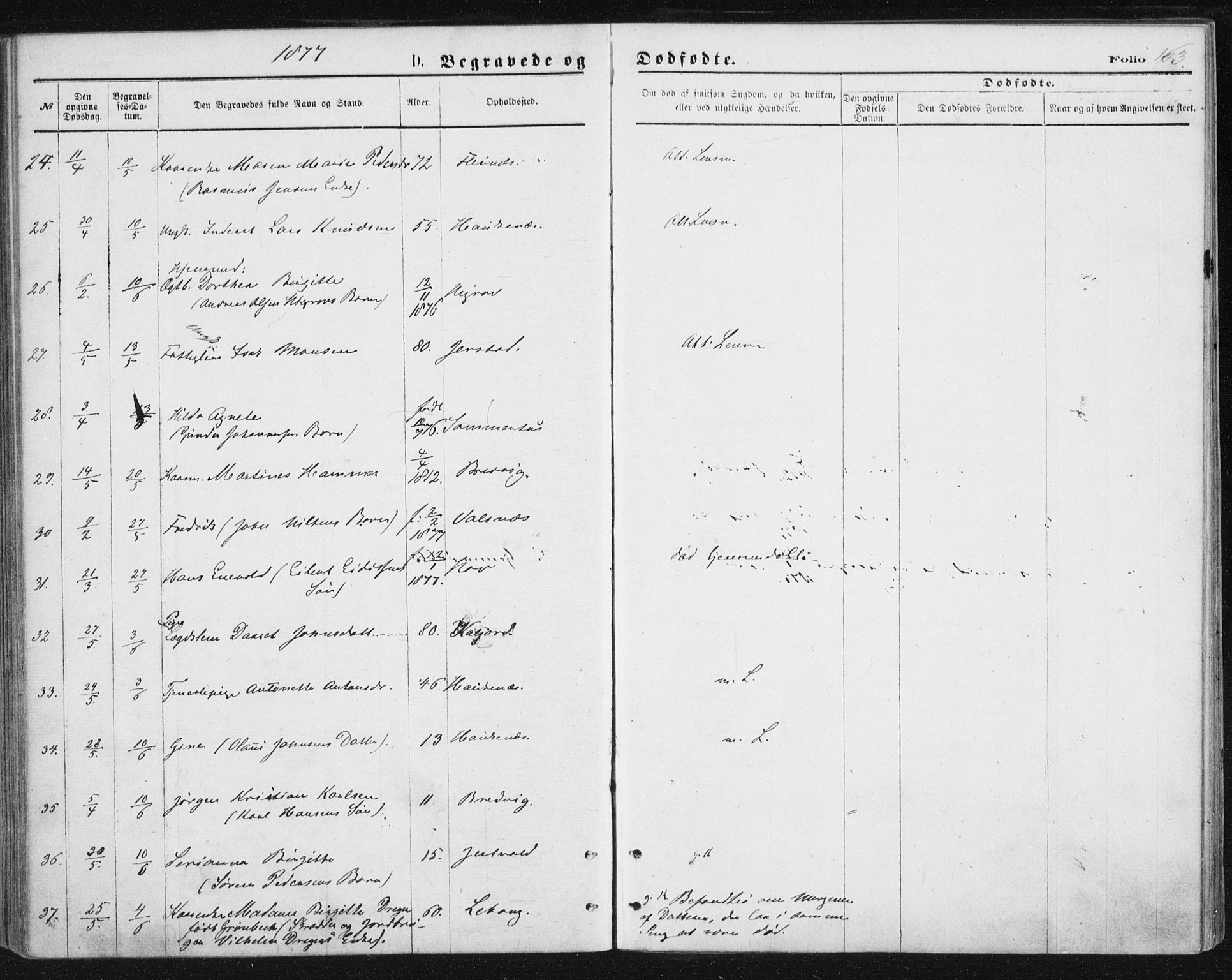 Ministerialprotokoller, klokkerbøker og fødselsregistre - Nordland, AV/SAT-A-1459/888/L1243: Parish register (official) no. 888A09, 1876-1879, p. 163