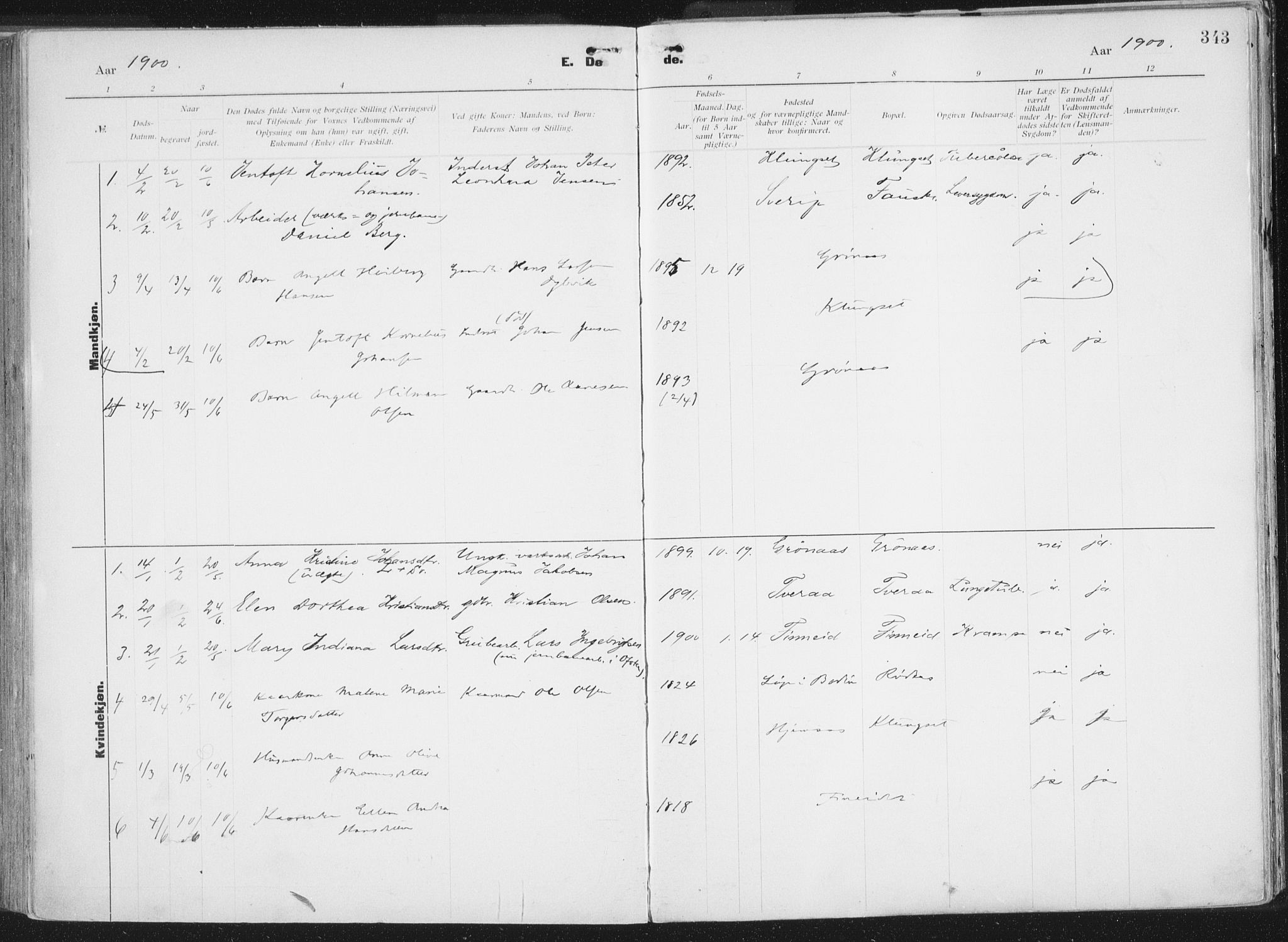 Ministerialprotokoller, klokkerbøker og fødselsregistre - Nordland, SAT/A-1459/849/L0696: Parish register (official) no. 849A08, 1898-1910, p. 343