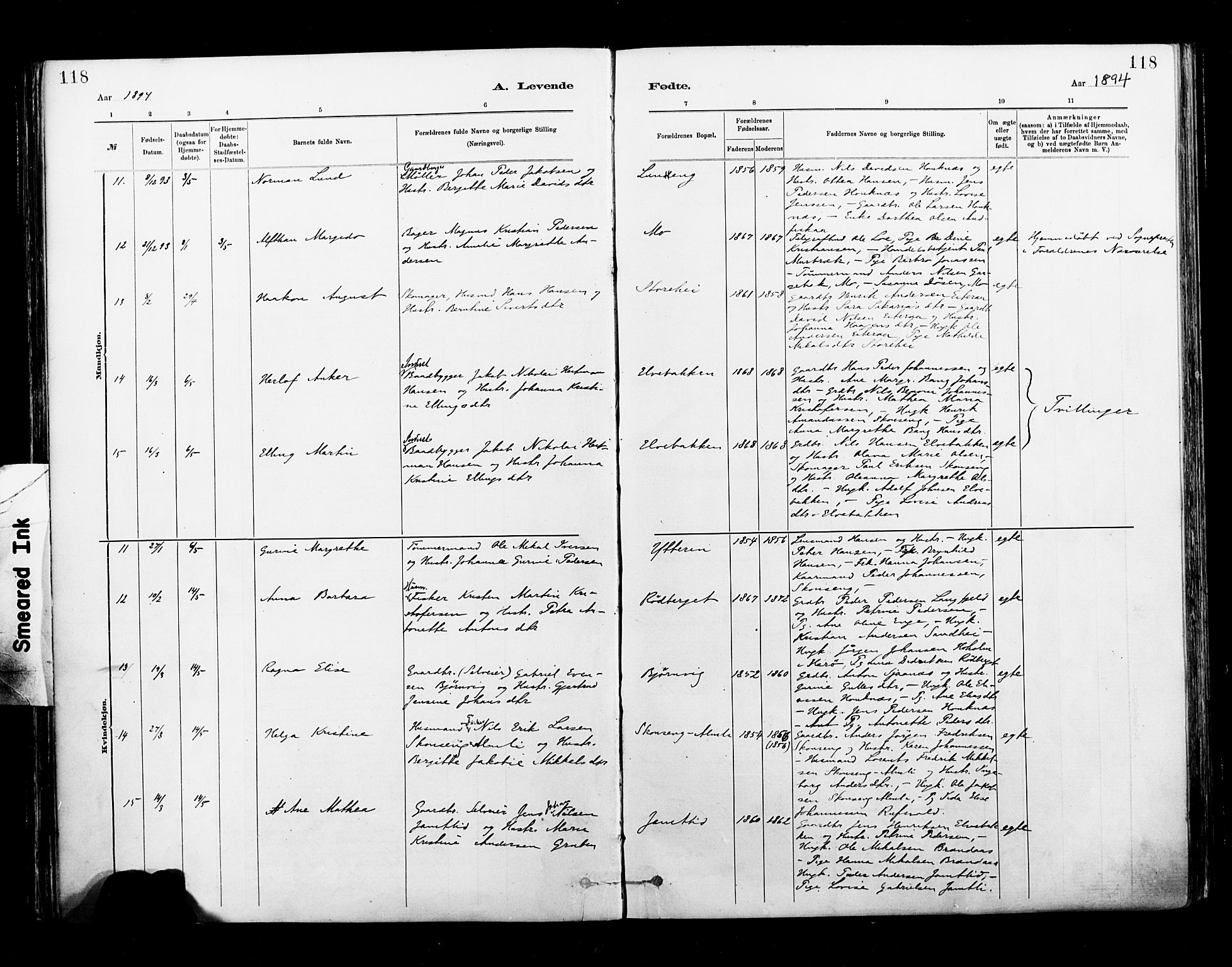 Ministerialprotokoller, klokkerbøker og fødselsregistre - Nordland, AV/SAT-A-1459/827/L0400: Parish register (official) no. 827A12, 1883-1903, p. 118