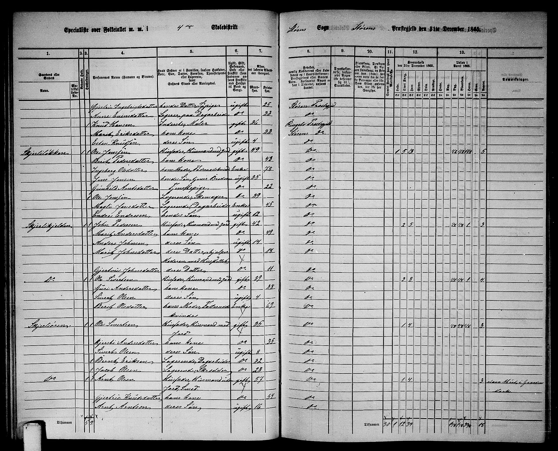 RA, 1865 census for Støren, 1865, p. 71