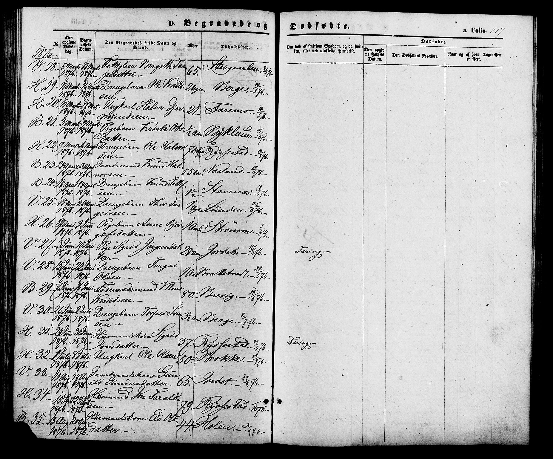 Valle sokneprestkontor, SAK/1111-0044/F/Fa/Fac/L0008: Parish register (official) no. A 8, 1868-1882, p. 217