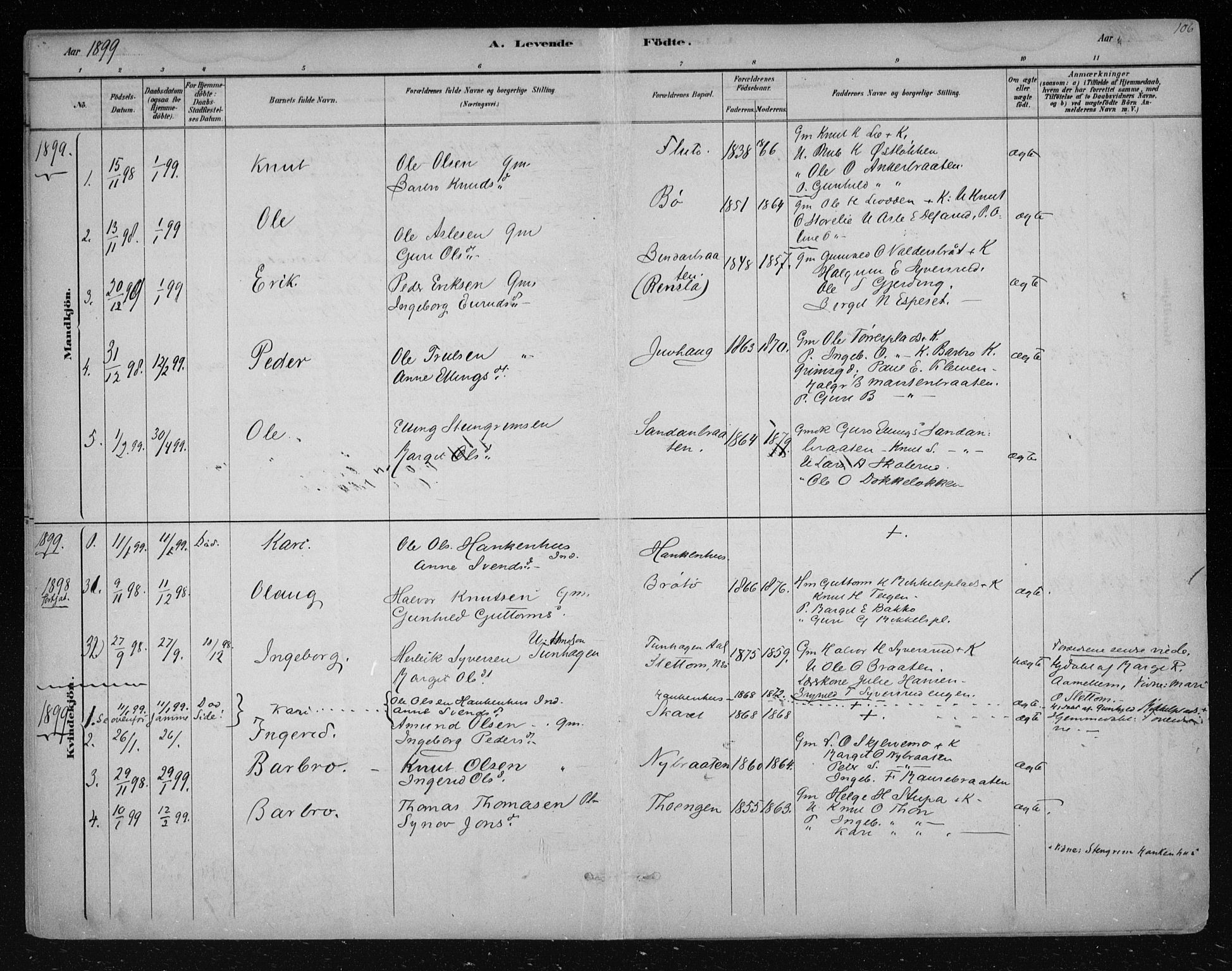 Nes kirkebøker, AV/SAKO-A-236/F/Fa/L0011: Parish register (official) no. 11, 1881-1912, p. 106