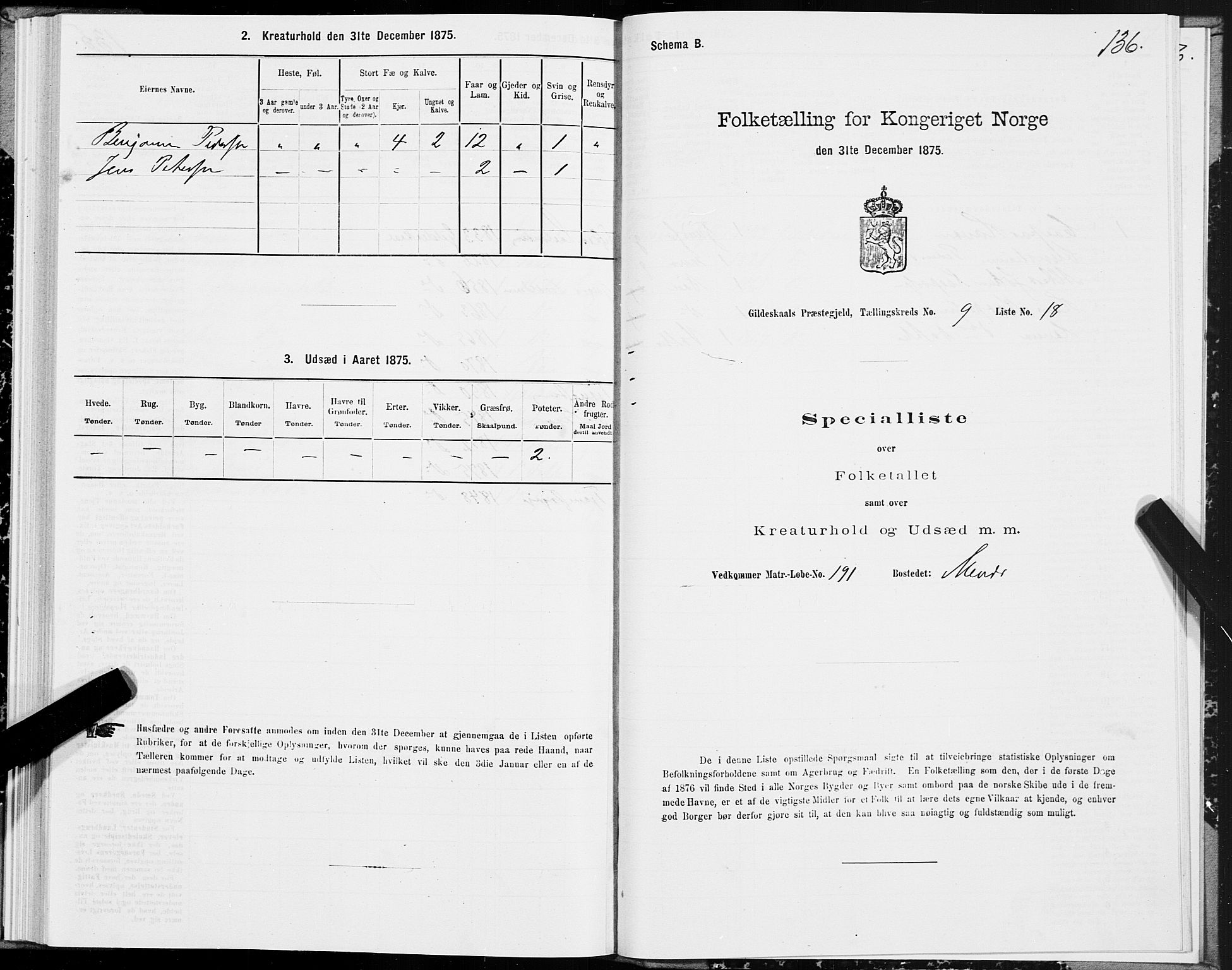 SAT, 1875 census for 1838P Gildeskål, 1875, p. 4136