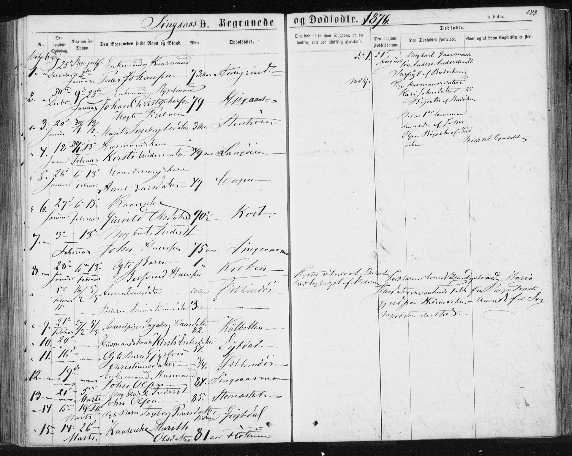 Ministerialprotokoller, klokkerbøker og fødselsregistre - Sør-Trøndelag, AV/SAT-A-1456/685/L0970: Parish register (official) no. 685A08 /2, 1870-1878, p. 243