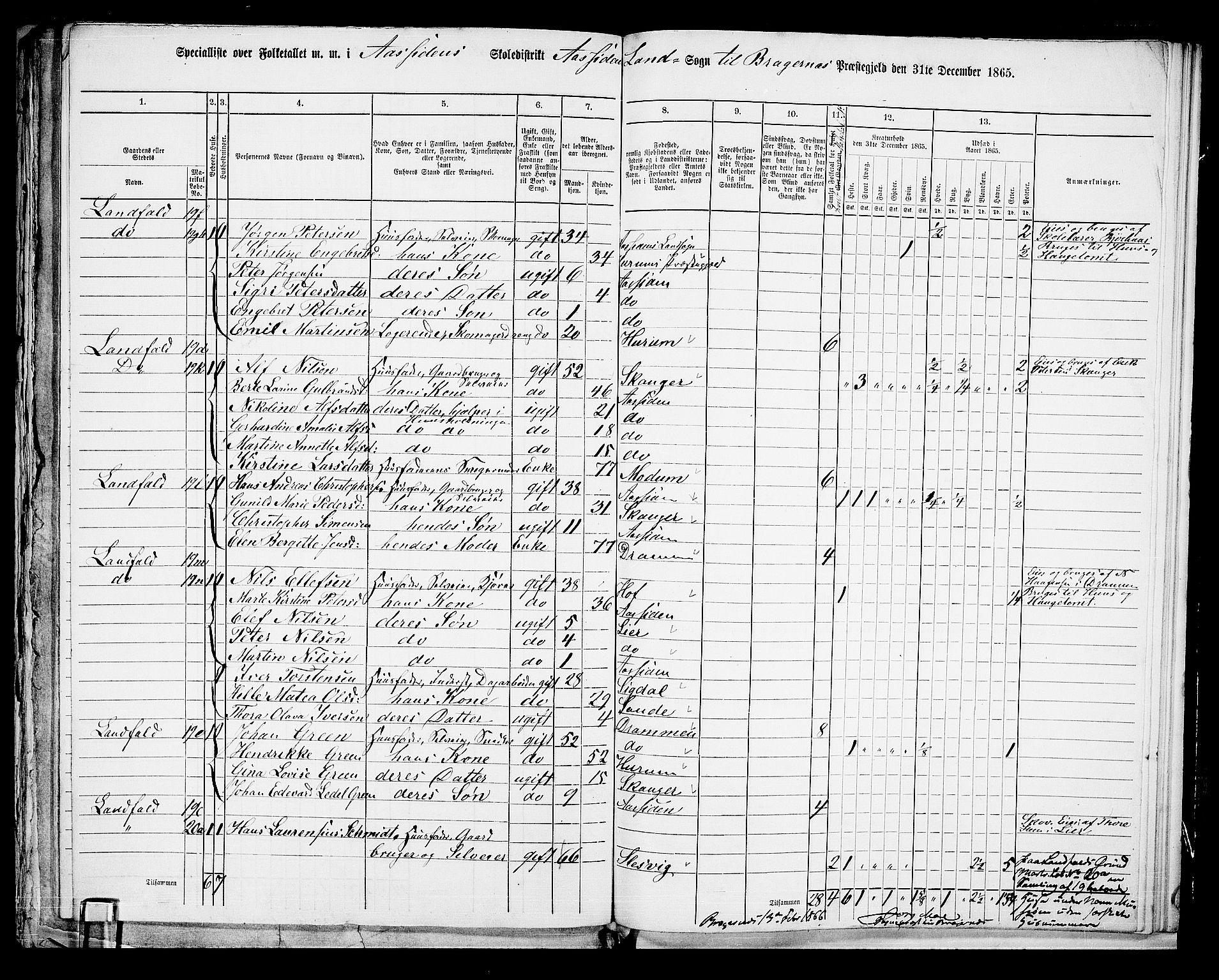 RA, 1865 census for Bragernes/Åssiden, 1865, p. 14