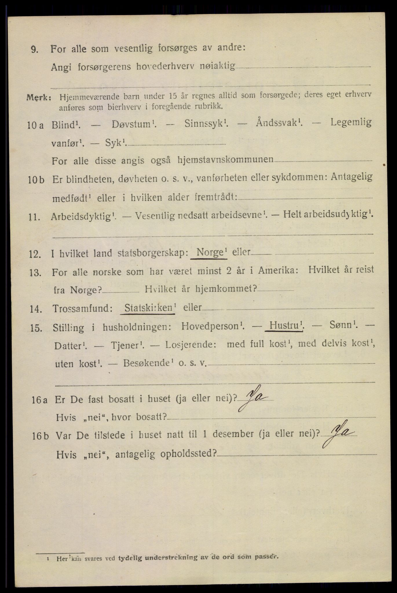 SAKO, 1920 census for Skien, 1920, p. 13559