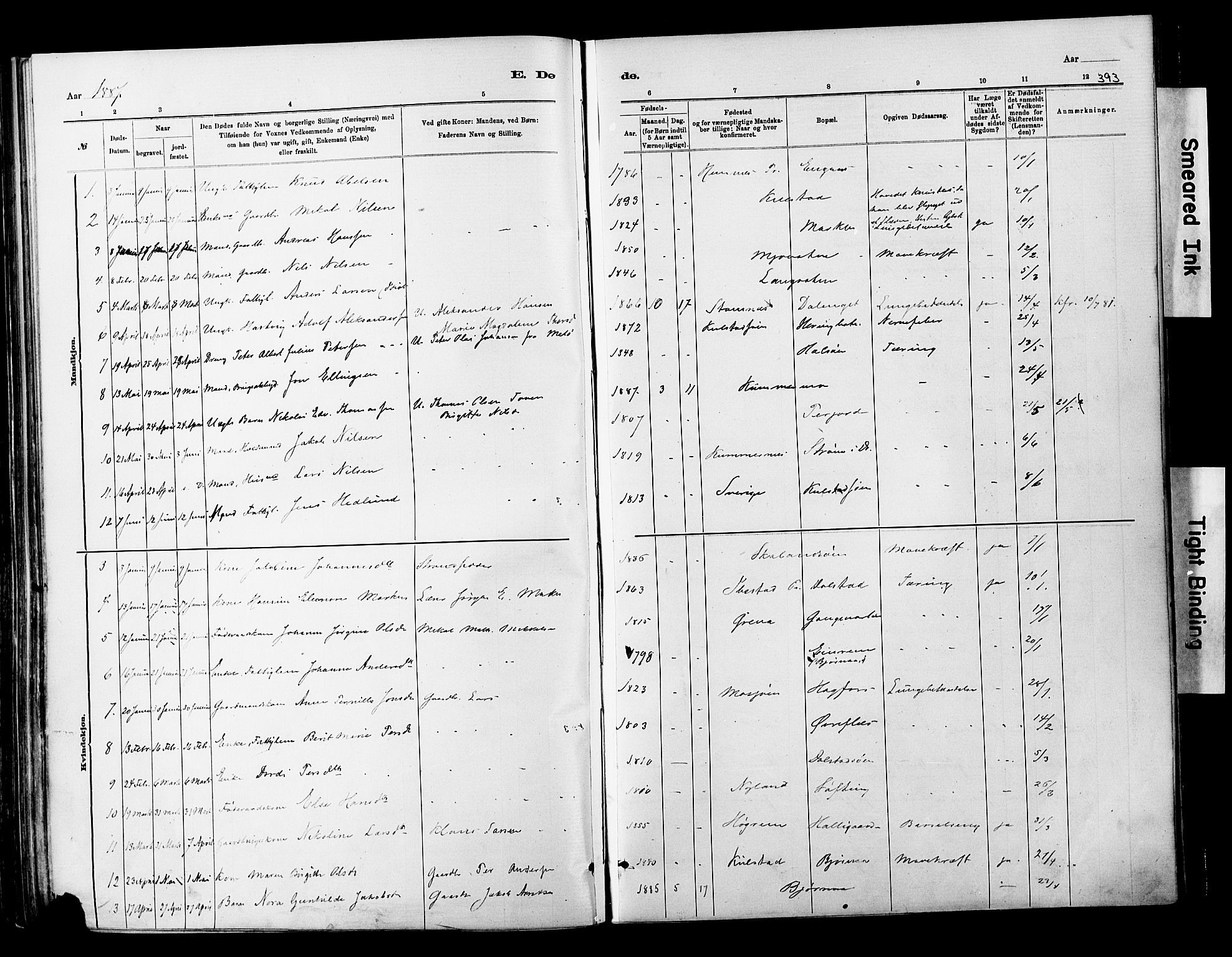 Ministerialprotokoller, klokkerbøker og fødselsregistre - Nordland, AV/SAT-A-1459/820/L0295: Parish register (official) no. 820A16, 1880-1896, p. 393