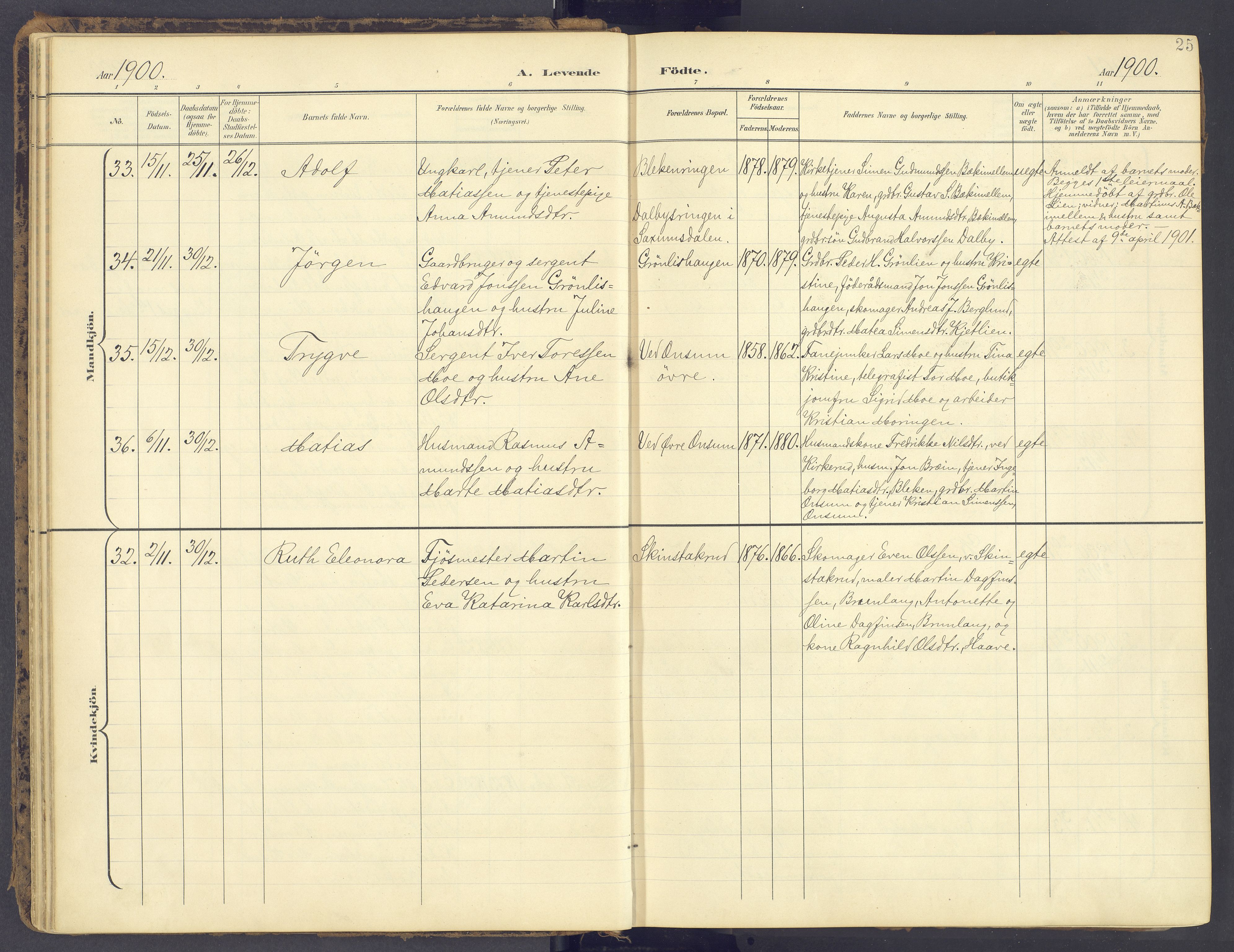 Fåberg prestekontor, SAH/PREST-086/H/Ha/Haa/L0012: Parish register (official) no. 12, 1899-1915, p. 25