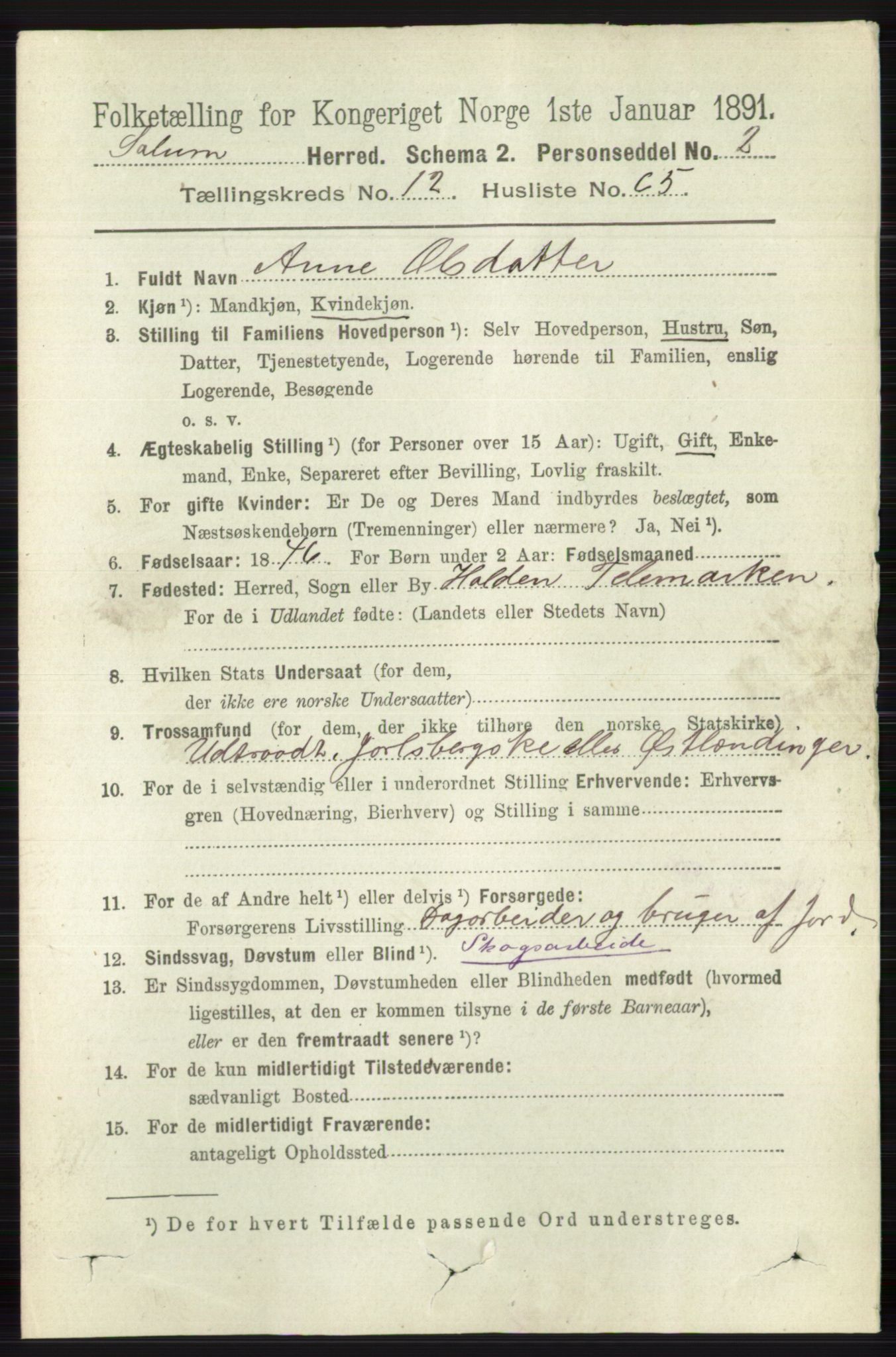 RA, 1891 census for 0818 Solum, 1891, p. 5987