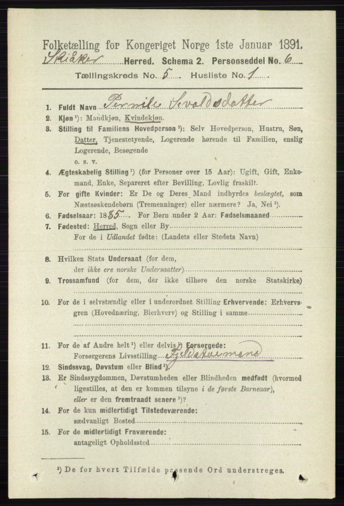 RA, 1891 census for 0513 Skjåk, 1891, p. 1621