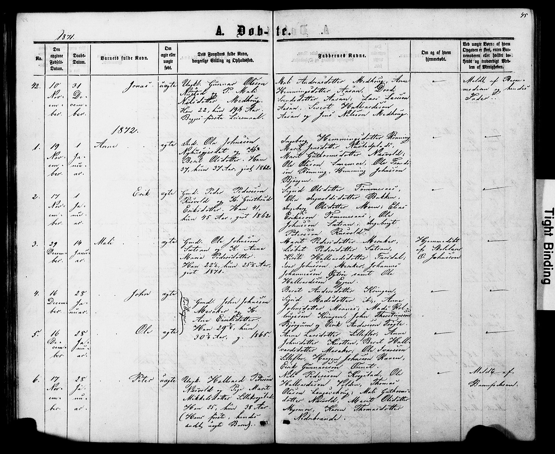 Ministerialprotokoller, klokkerbøker og fødselsregistre - Nord-Trøndelag, AV/SAT-A-1458/706/L0049: Parish register (copy) no. 706C01, 1864-1895, p. 45