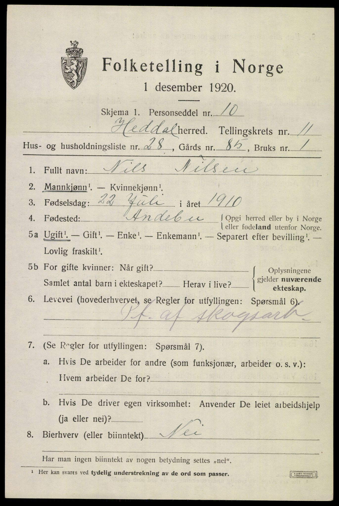 SAKO, 1920 census for Heddal, 1920, p. 8104