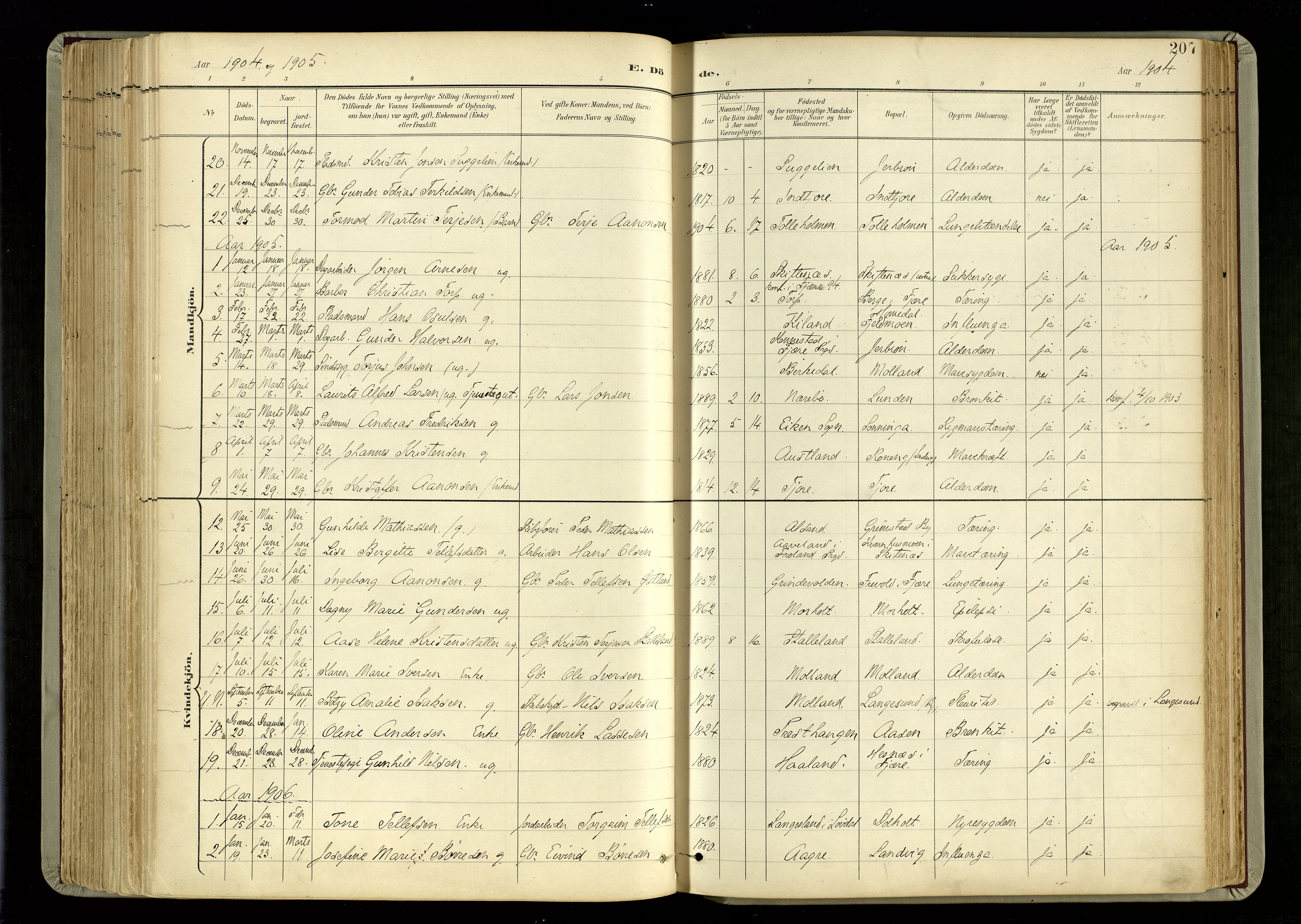 Hommedal sokneprestkontor, SAK/1111-0023/F/Fa/Fab/L0007: Parish register (official) no. A 7, 1898-1924, p. 207