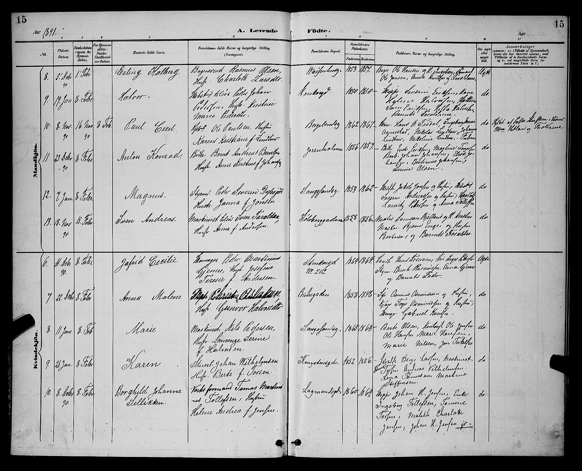 St. Petri sokneprestkontor, AV/SAST-A-101813/001/30/30BB/L0006: Parish register (copy) no. B 6, 1890-1897, p. 15