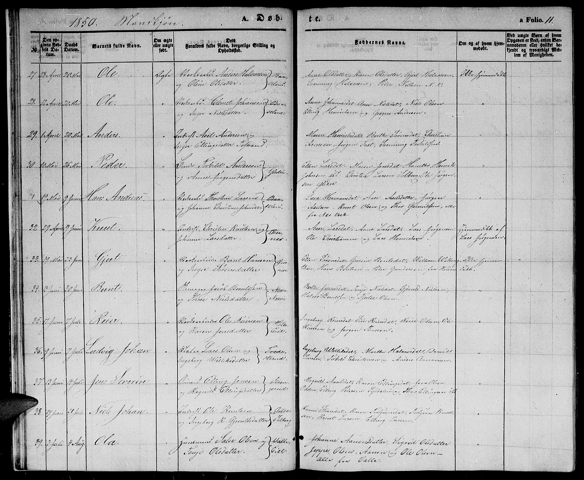 Holt sokneprestkontor, AV/SAK-1111-0021/F/Fb/L0007: Parish register (copy) no. B 7, 1849-1858, p. 11