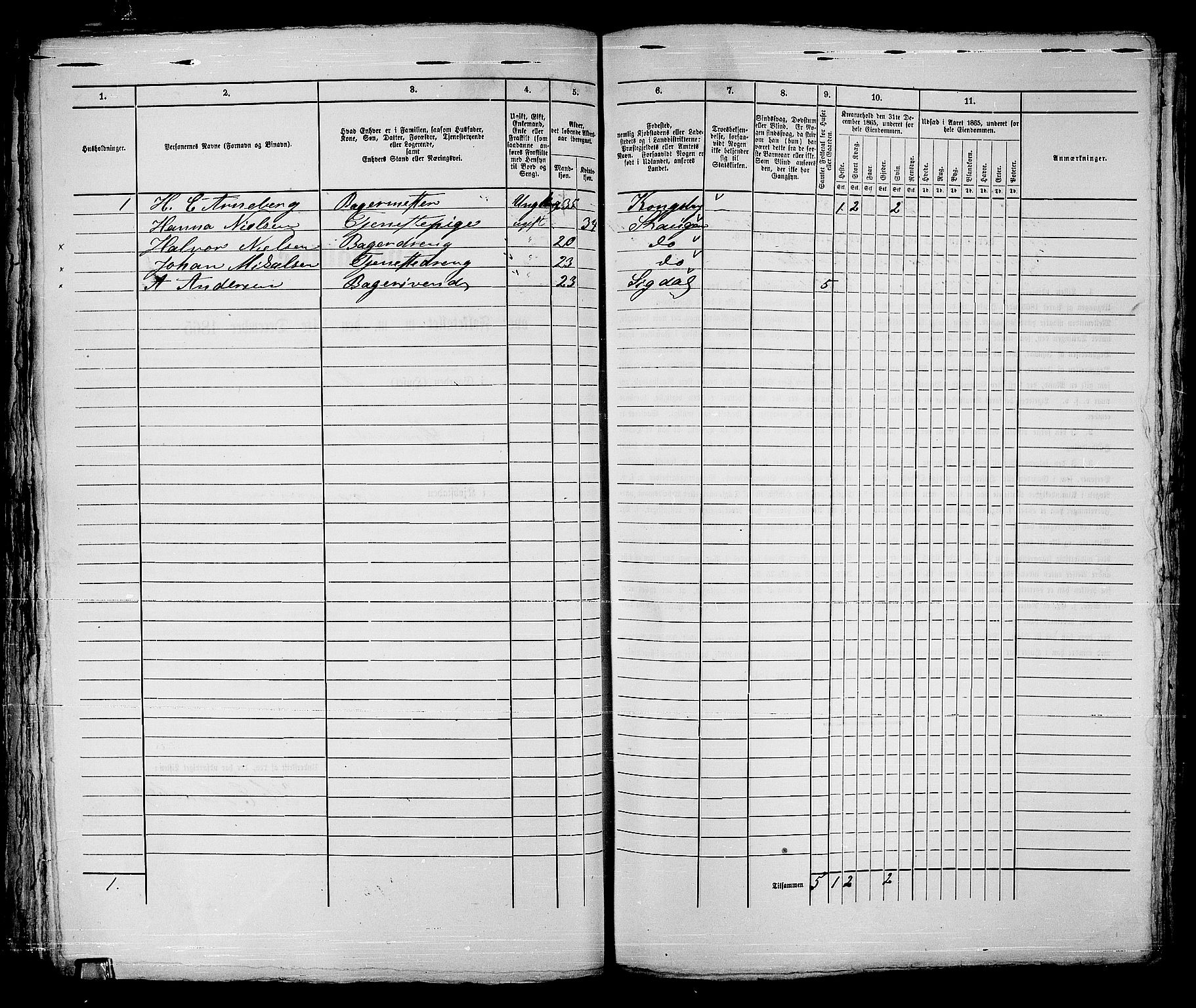 RA, 1865 census for Strømsø in Drammen, 1865, p. 136