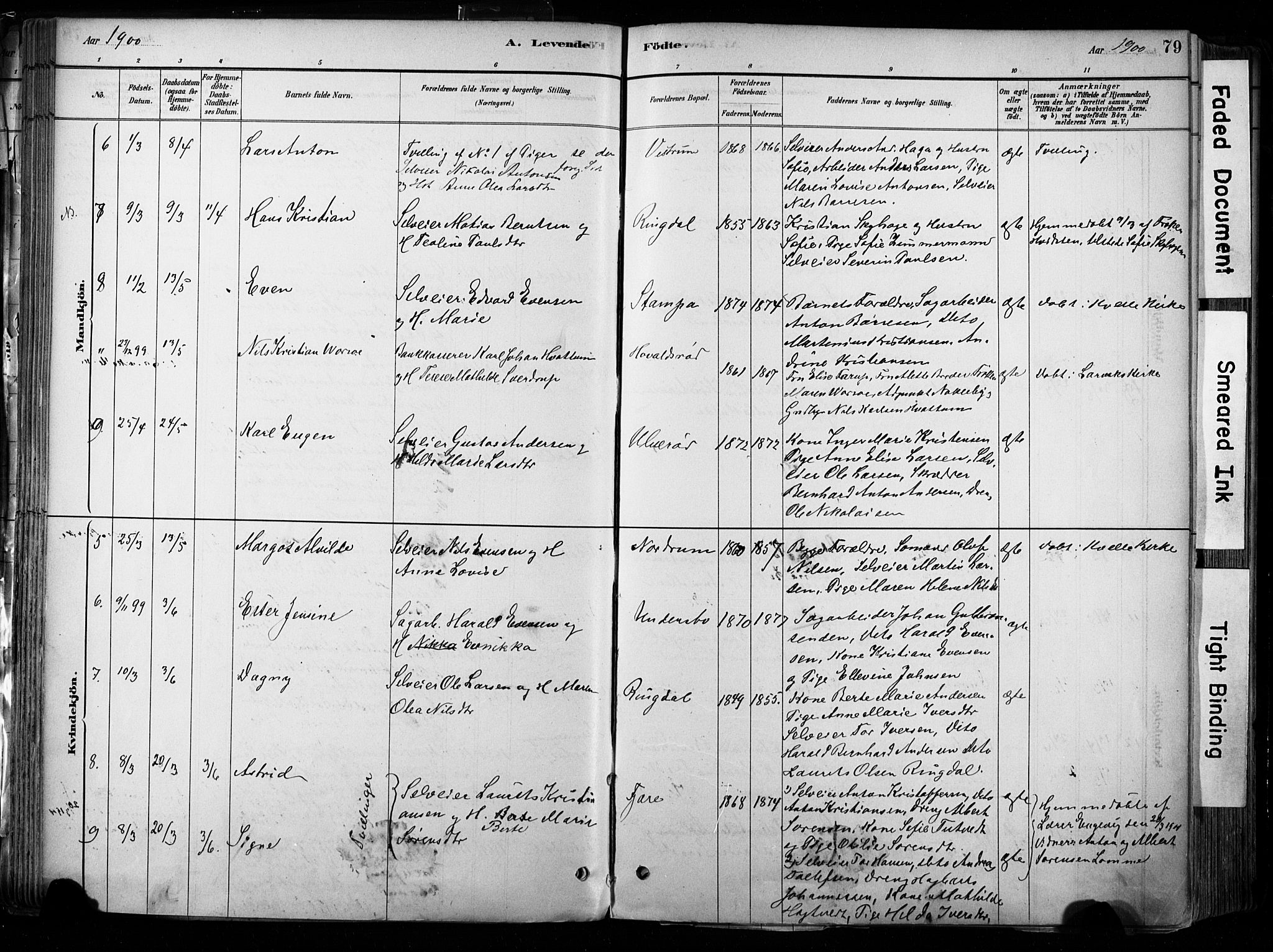 Hedrum kirkebøker, AV/SAKO-A-344/F/Fa/L0009: Parish register (official) no. I 9, 1881-1903, p. 79