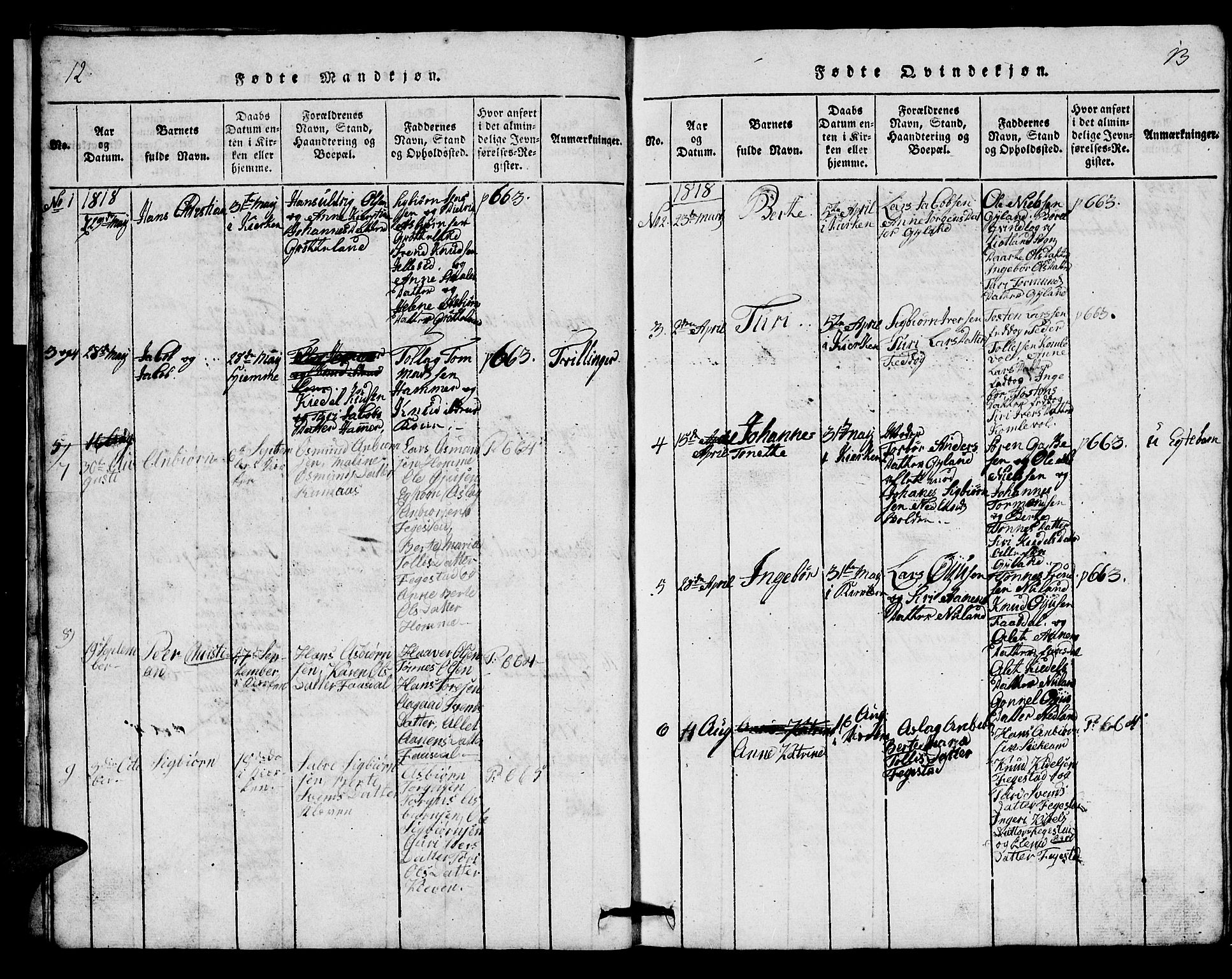 Bakke sokneprestkontor, AV/SAK-1111-0002/F/Fb/Fbb/L0001: Parish register (copy) no. B 1, 1815-1835, p. 12-13