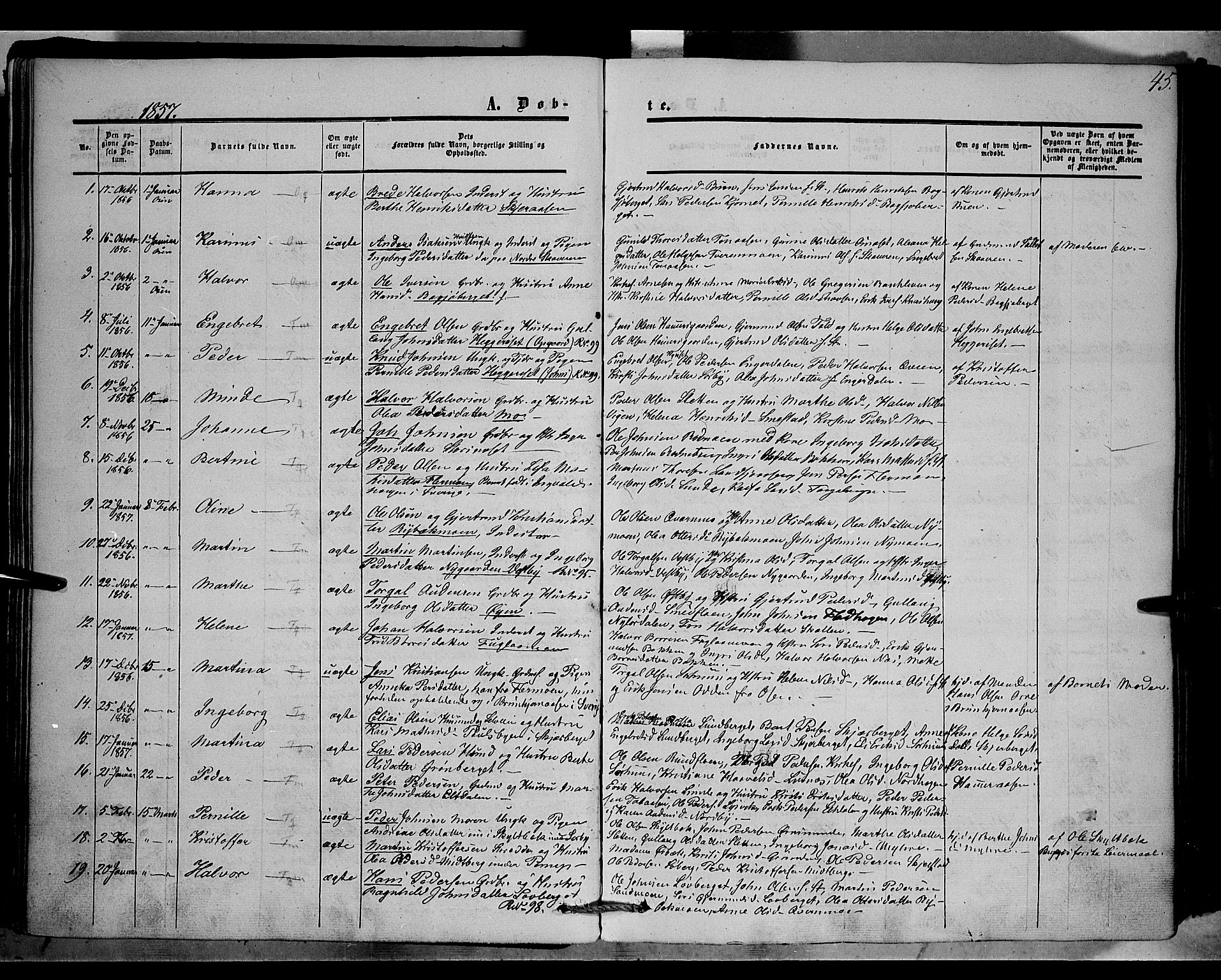 Trysil prestekontor, AV/SAH-PREST-046/H/Ha/Haa/L0005: Parish register (official) no. 5, 1851-1865, p. 45