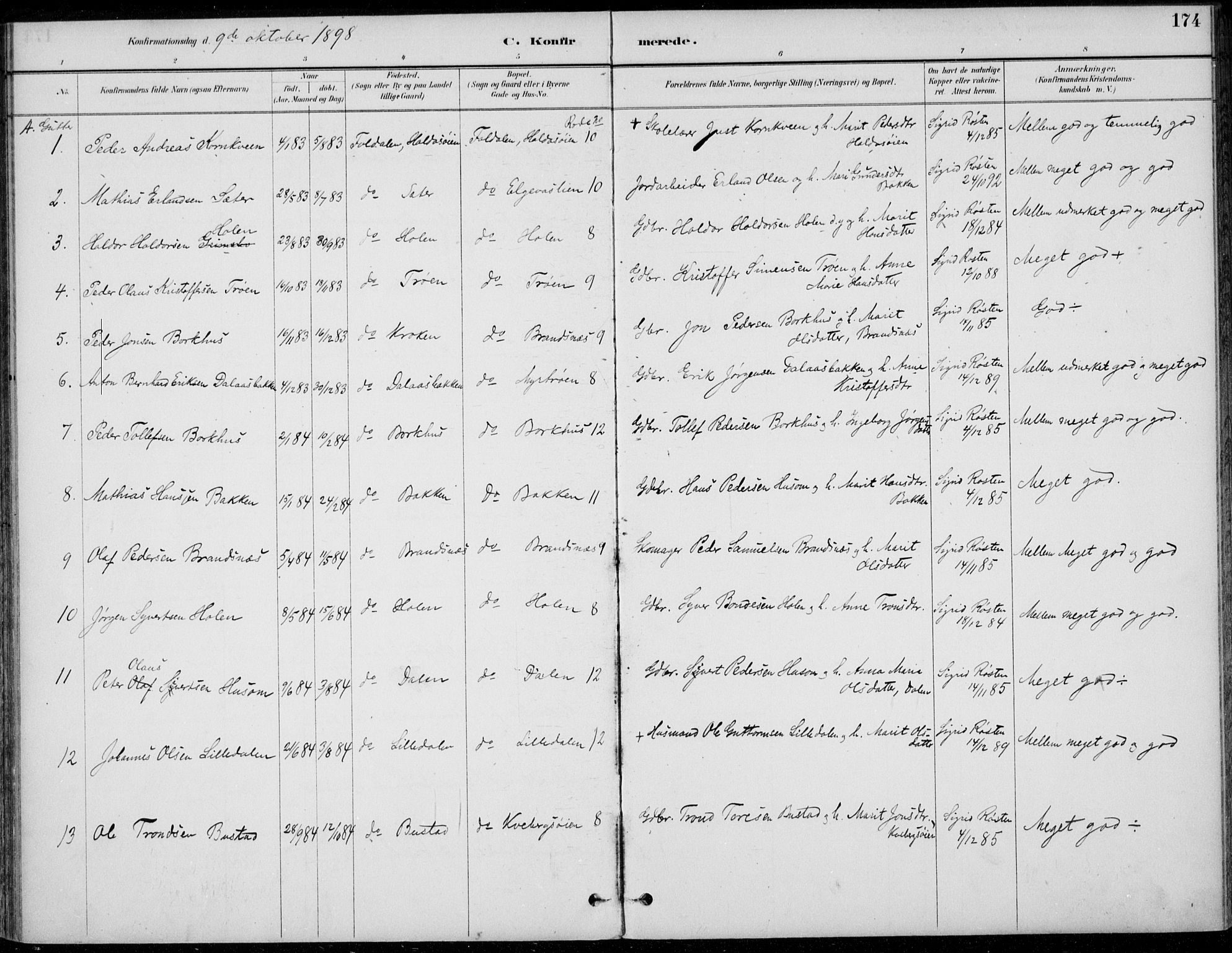 Alvdal prestekontor, AV/SAH-PREST-060/H/Ha/Haa/L0003: Parish register (official) no. 3, 1886-1912, p. 174