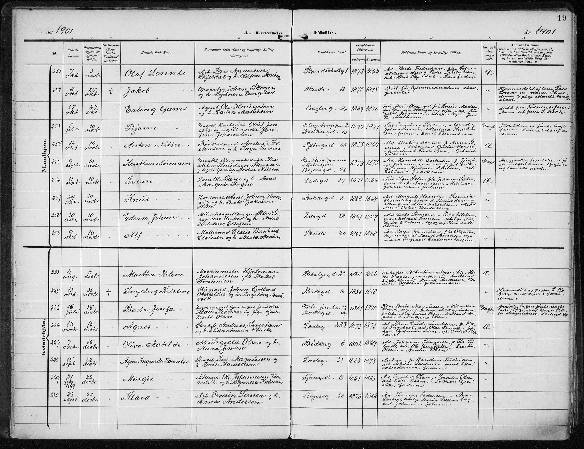 Sandviken Sokneprestembete, AV/SAB-A-77601/H/Ha/L0006: Parish register (official) no. B 3, 1901-1912, p. 19