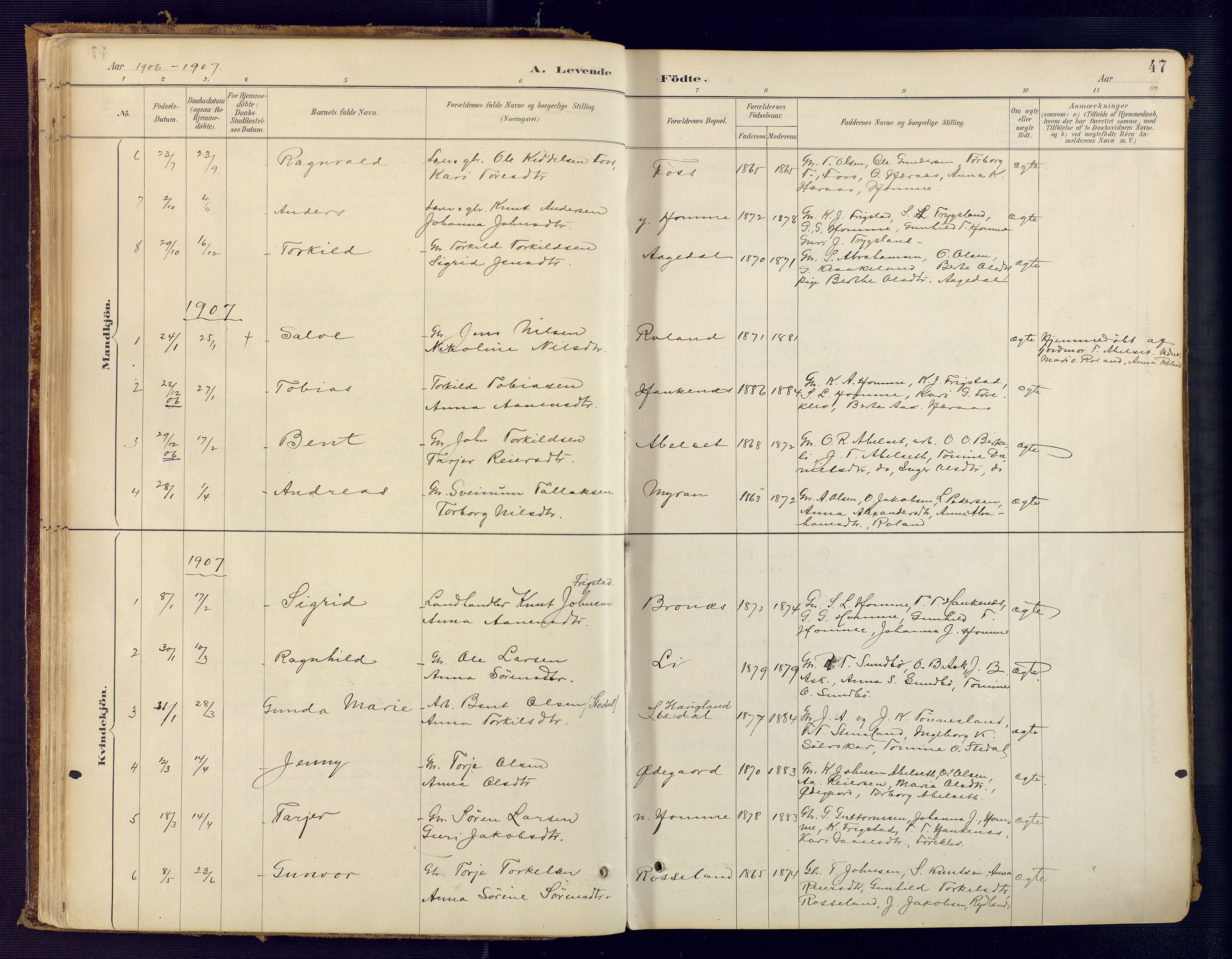 Bjelland sokneprestkontor, SAK/1111-0005/F/Fa/Faa/L0004: Parish register (official) no. A 4, 1887-1923, p. 47