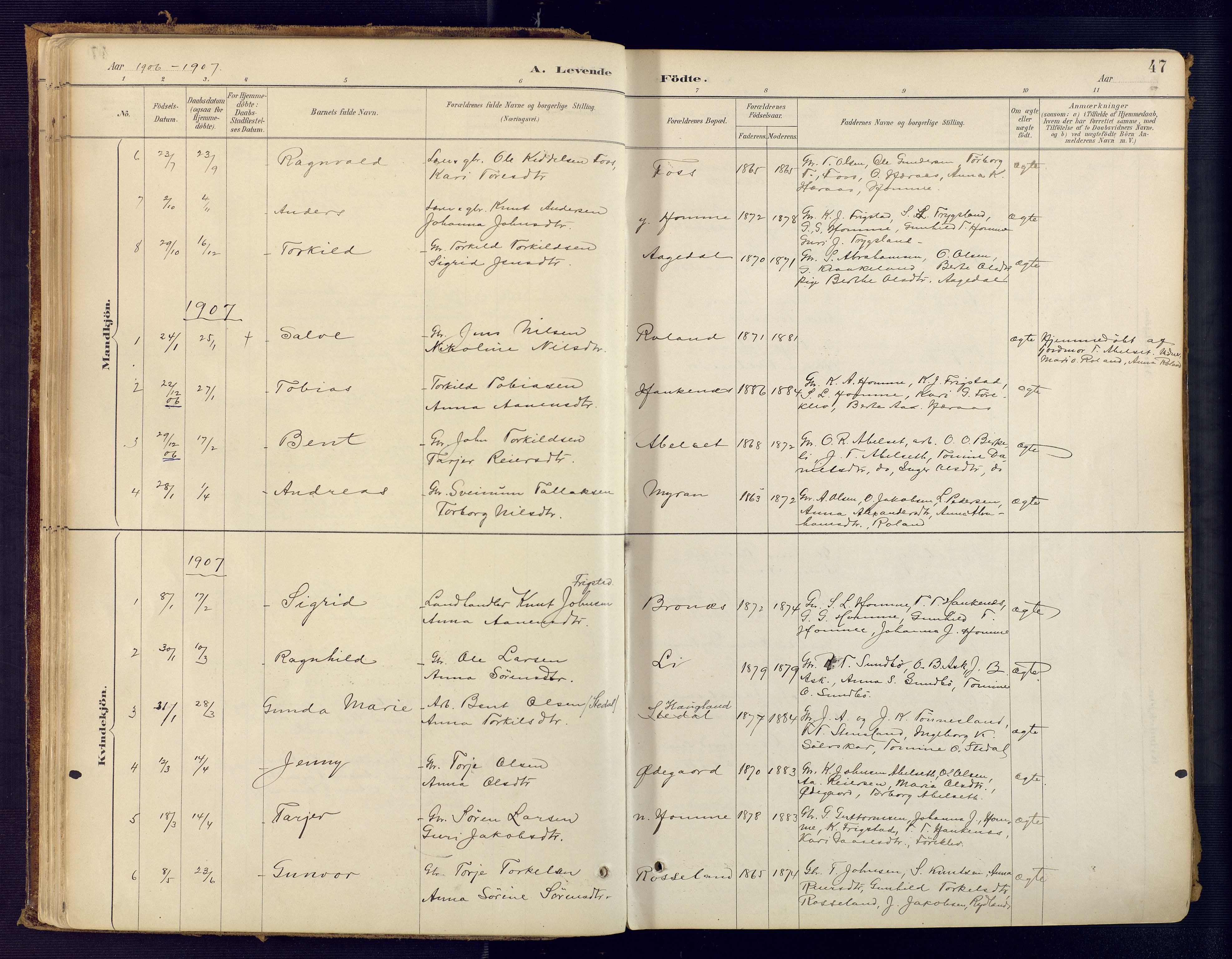 Bjelland sokneprestkontor, AV/SAK-1111-0005/F/Fa/Faa/L0004: Parish register (official) no. A 4, 1887-1923, p. 47