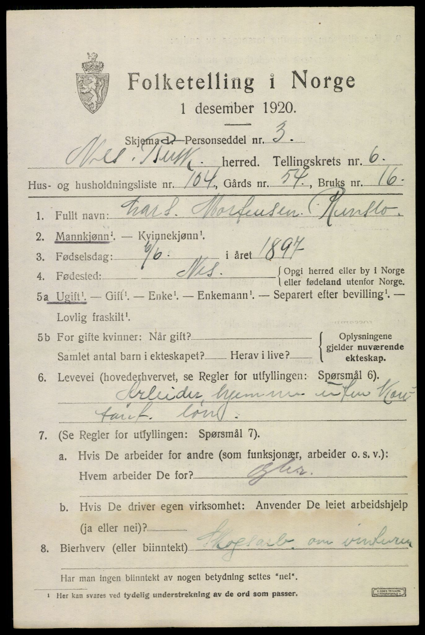 SAKO, 1920 census for Nes (Buskerud), 1920, p. 4318