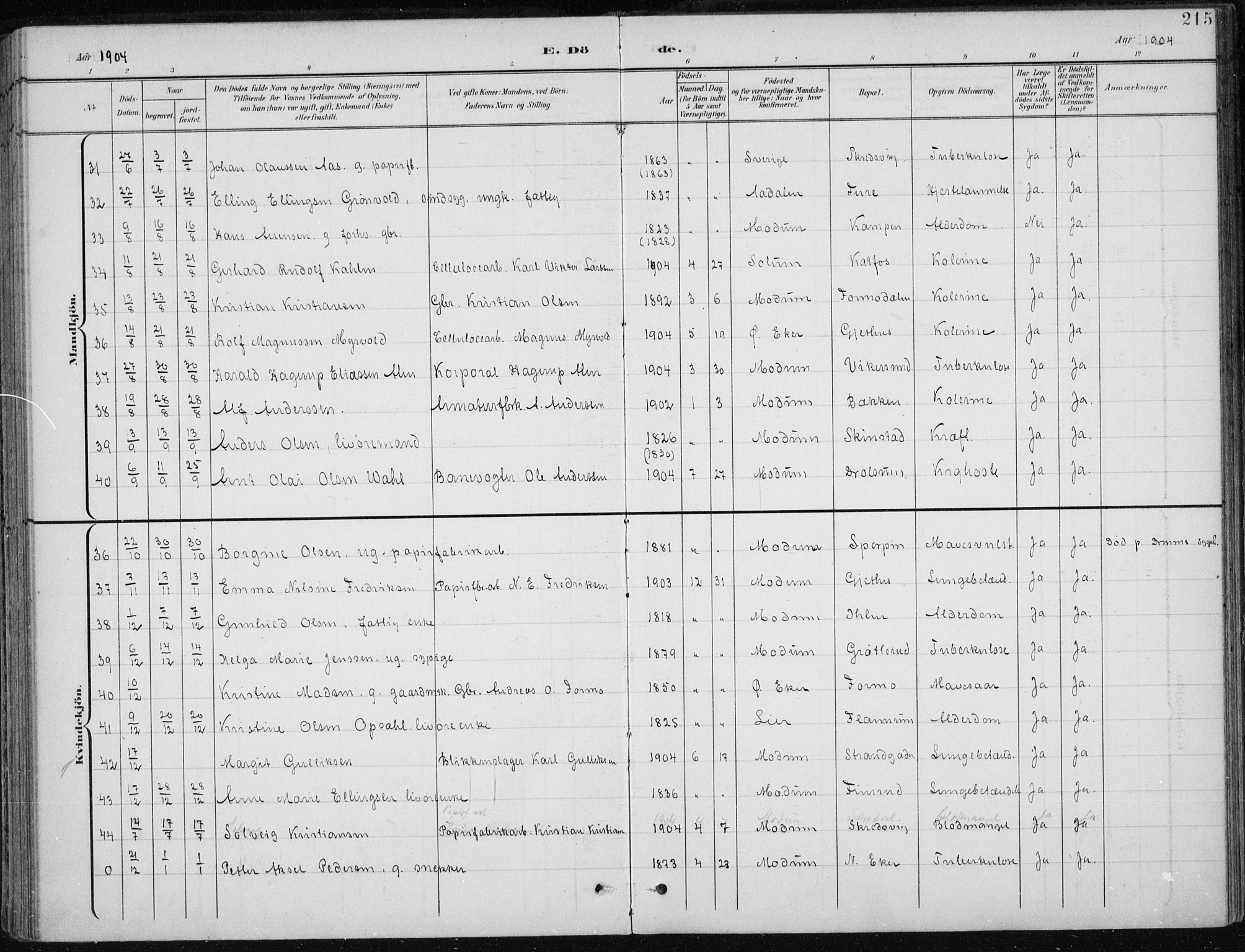 Modum kirkebøker, AV/SAKO-A-234/F/Fa/L0013: Parish register (official) no. 13, 1899-1907, p. 215