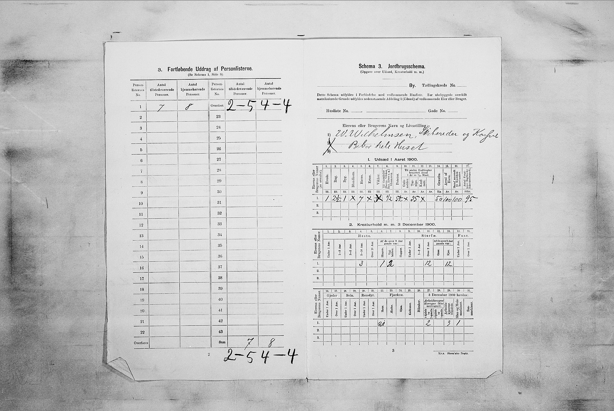 RA, 1900 census for Tønsberg, 1900, p. 4550