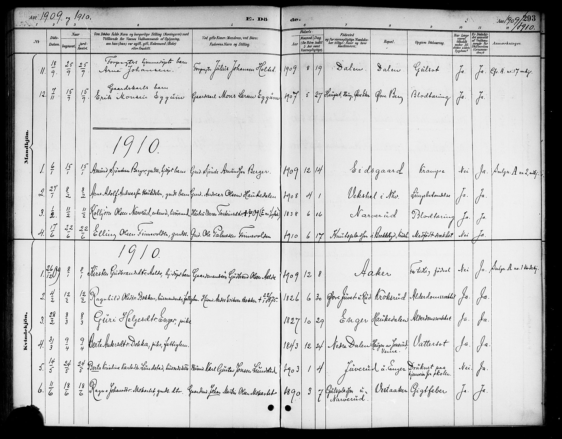 Lunder kirkebøker, AV/SAKO-A-629/G/Ga/L0004: Parish register (copy) no. I 4, 1889-1917, p. 293