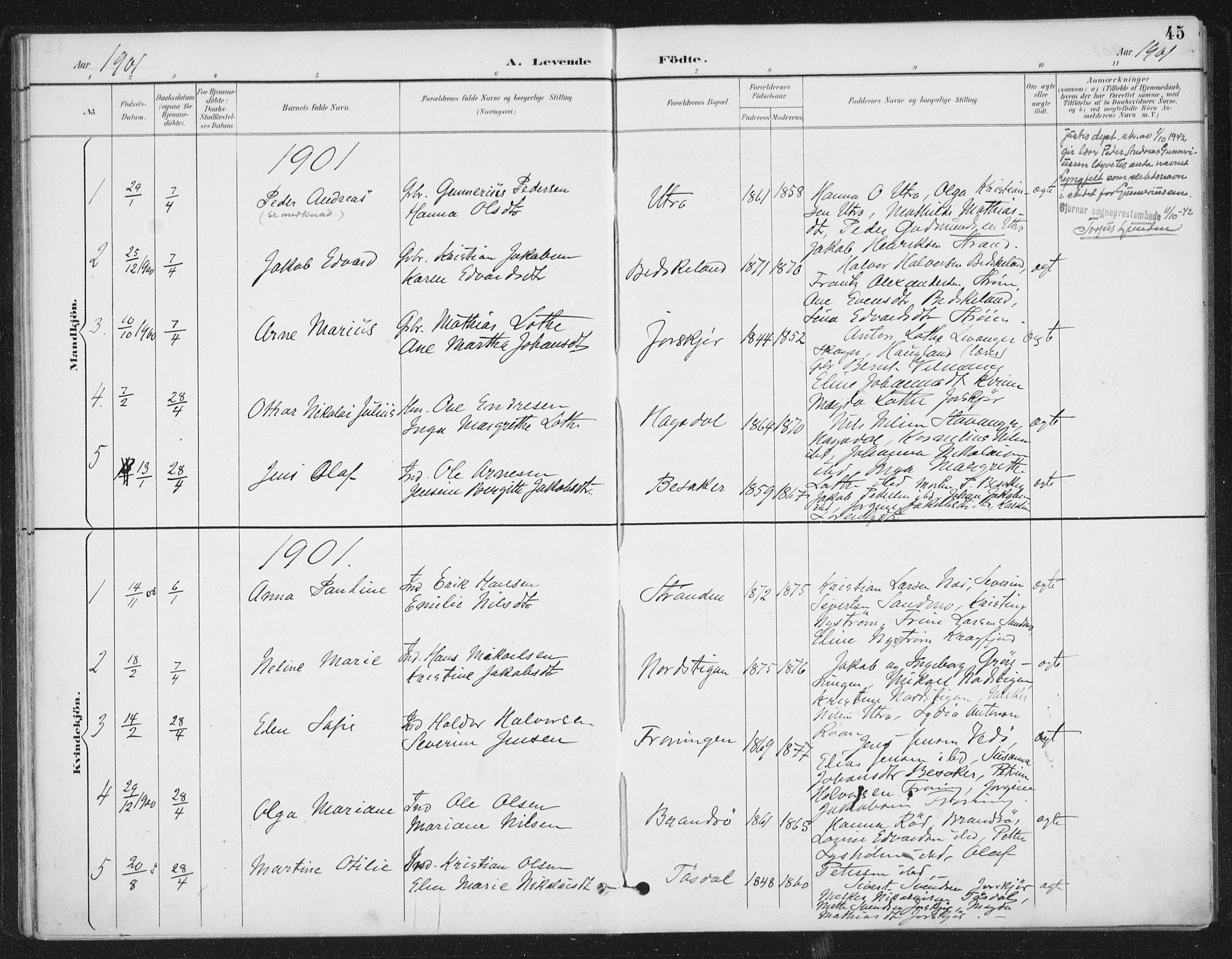Ministerialprotokoller, klokkerbøker og fødselsregistre - Sør-Trøndelag, SAT/A-1456/657/L0708: Parish register (official) no. 657A09, 1894-1904, p. 45