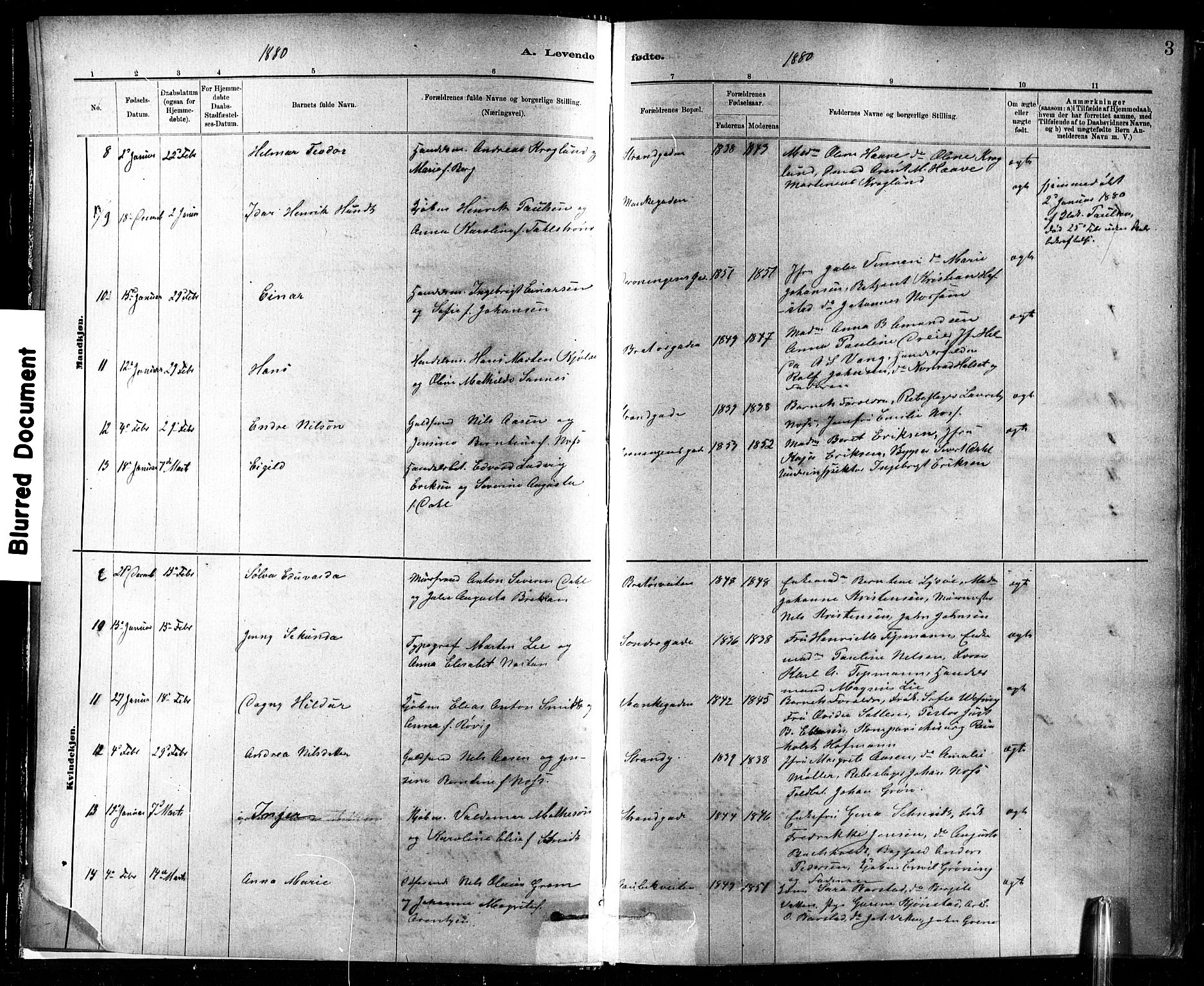 Ministerialprotokoller, klokkerbøker og fødselsregistre - Sør-Trøndelag, SAT/A-1456/602/L0119: Parish register (official) no. 602A17, 1880-1901, p. 3