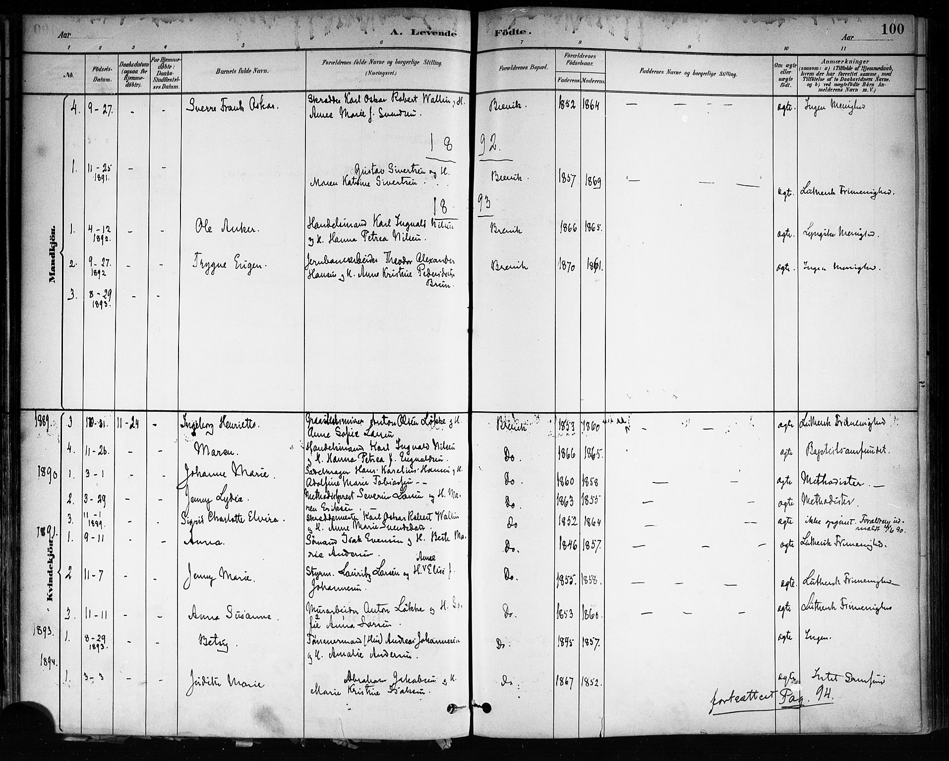 Brevik kirkebøker, SAKO/A-255/F/Fa/L0007: Parish register (official) no. 7, 1882-1900, p. 100