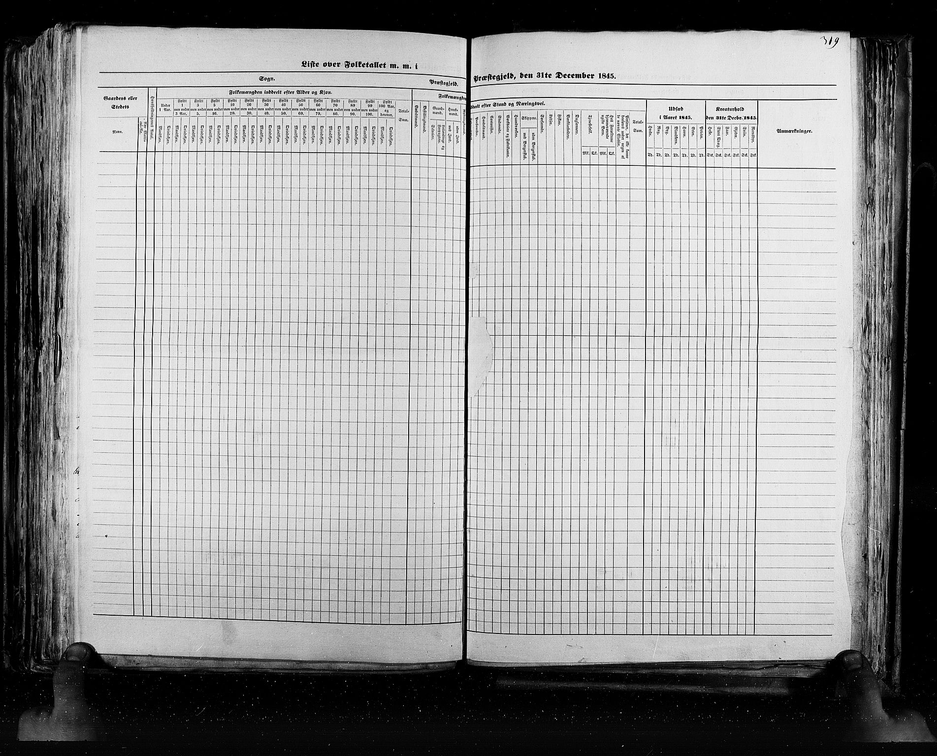 RA, Census 1845, vol. 5: Bratsberg amt og Nedenes og Råbyggelaget amt, 1845, p. 319