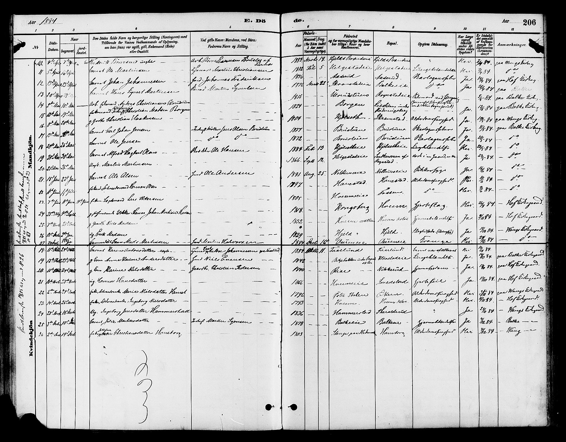 Østre Toten prestekontor, AV/SAH-PREST-104/H/Ha/Haa/L0007: Parish register (official) no. 7, 1881-1896, p. 206